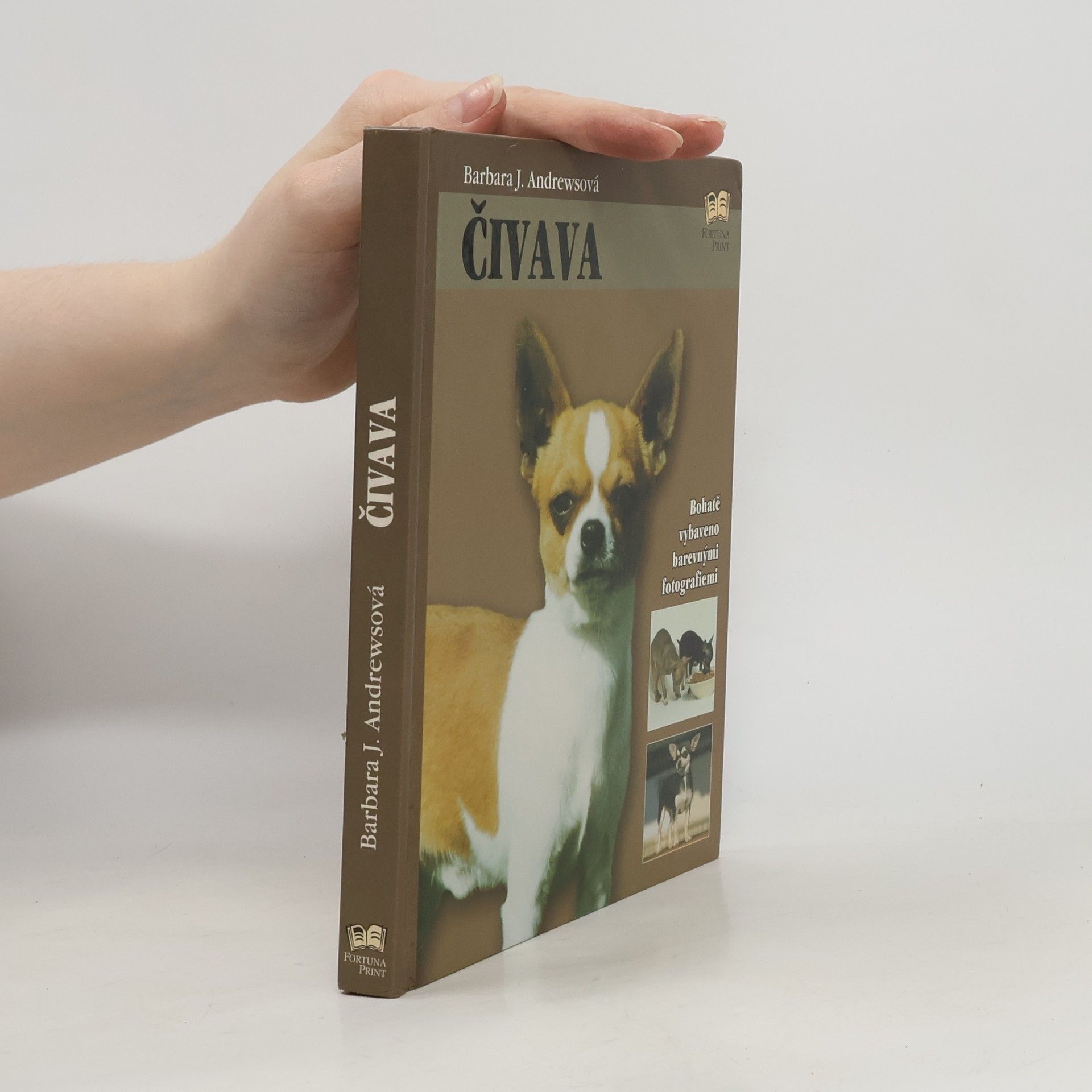 Barbara J. Andrews Čivava