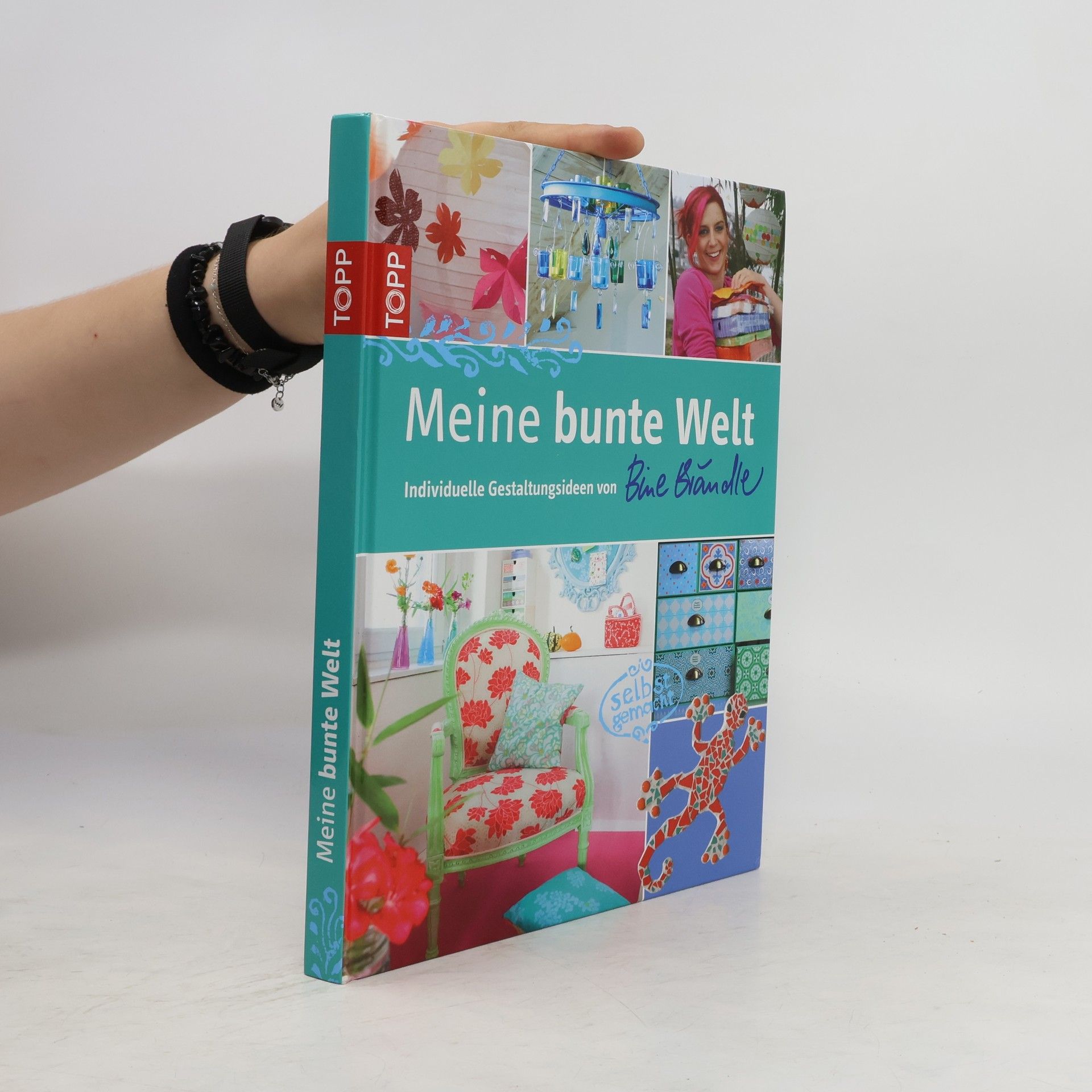 Bine Brändle Meine bunte Welt