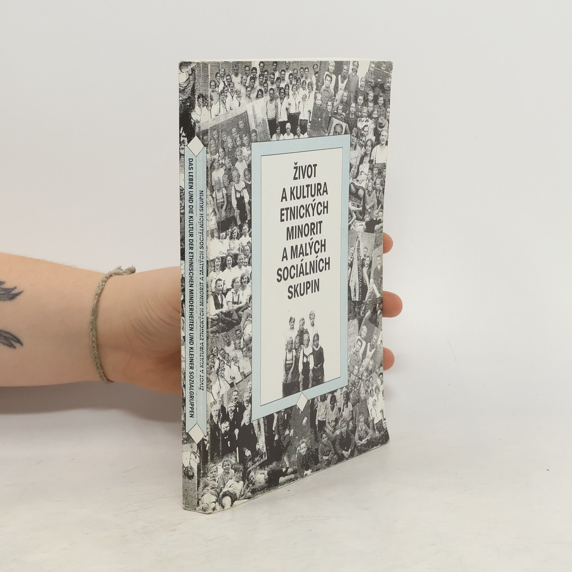 Kolektiv autorů Život a kultura etnických minorit a malých sociálních skupin = Das Leben und die Kultur der etnischen Minderheiten und kleiner Sozialgruppen