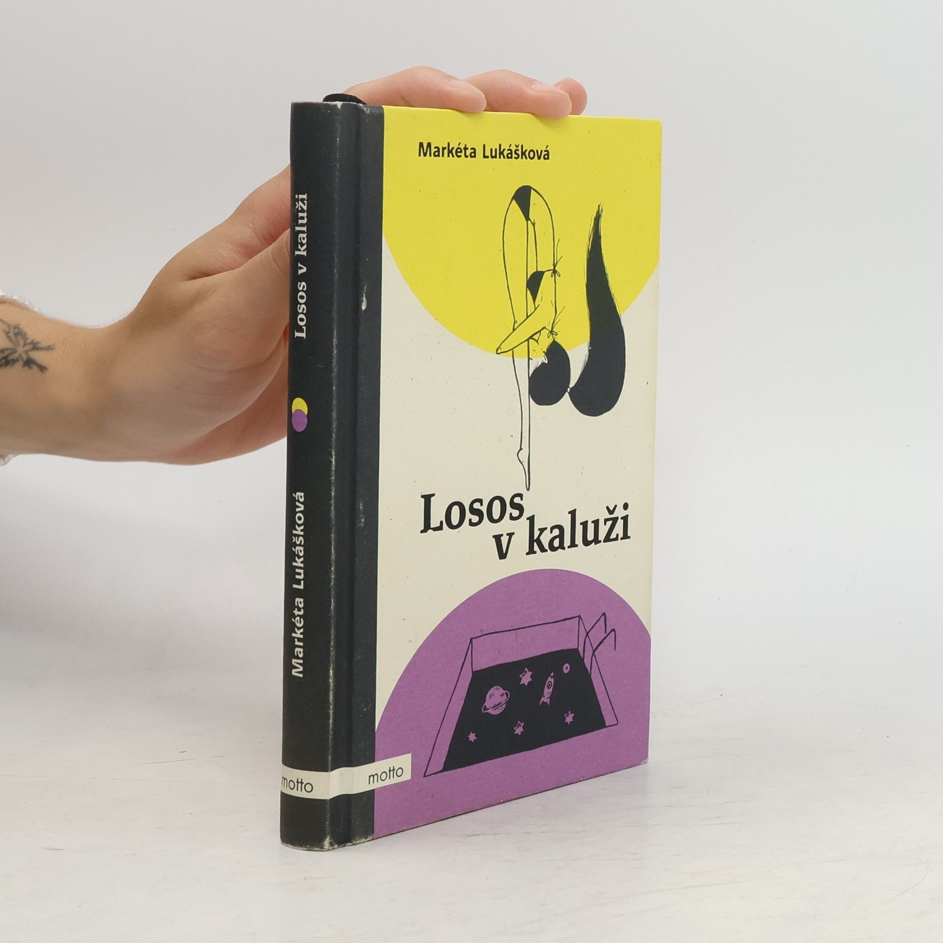 Markéta Lukášková Losos v kaluži