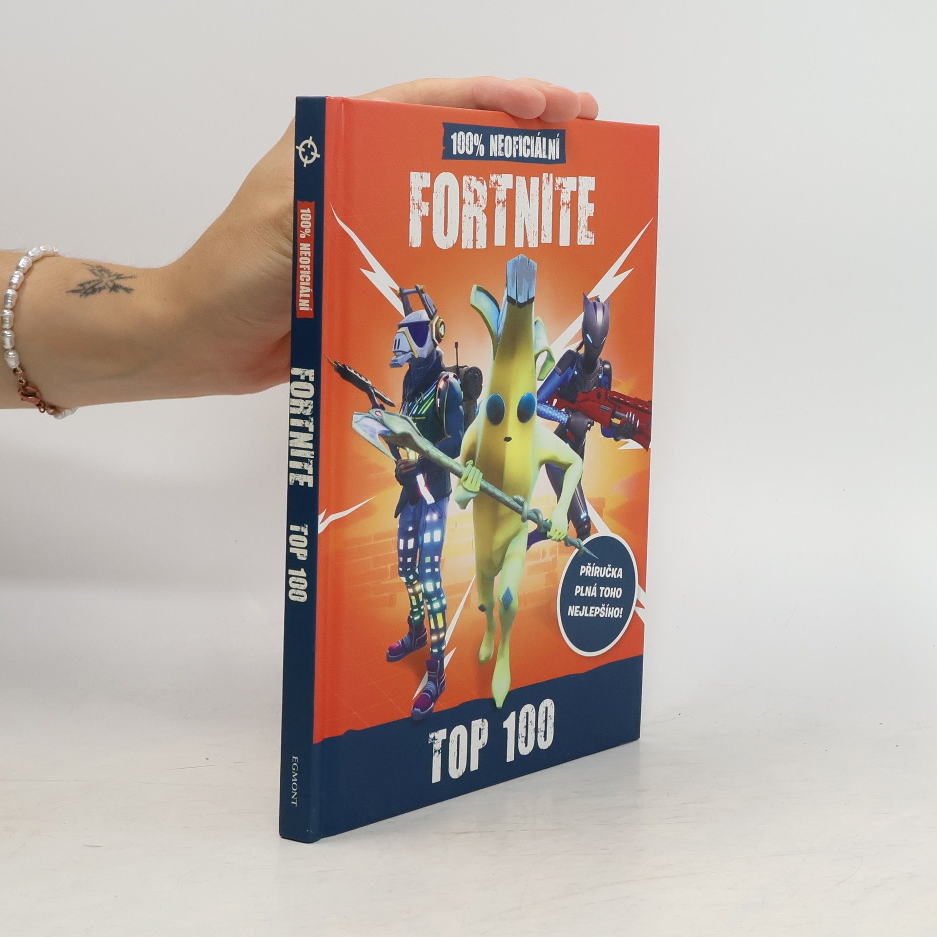 Fortnite : 100% neoficiální top 100