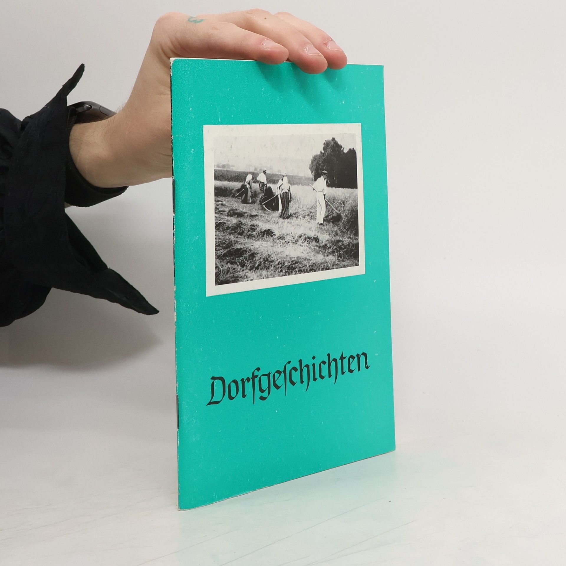 Collectif d'auteurs Dorfgeschichten