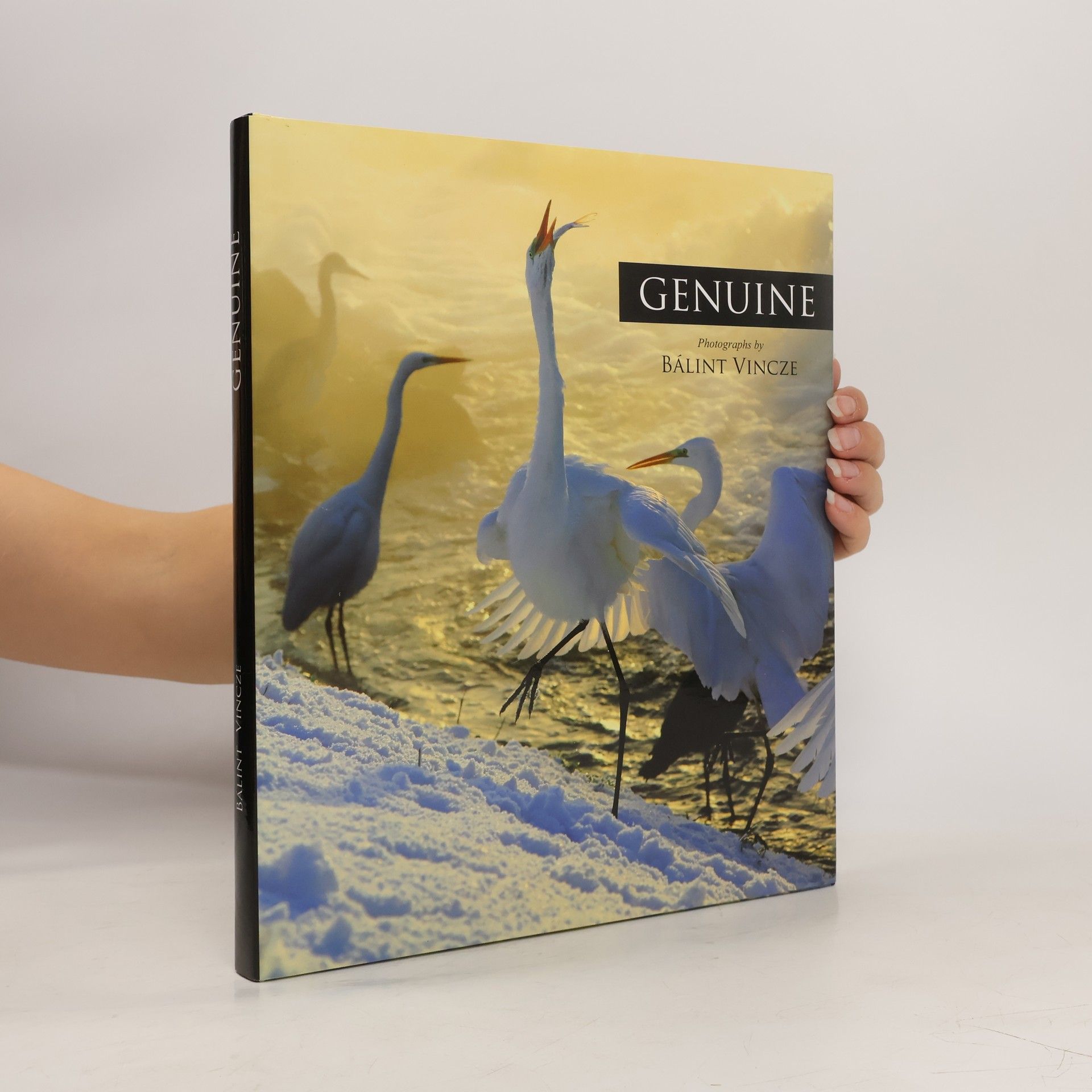 Bálint Vincze Genuine : the images of four years compressed into four seasons