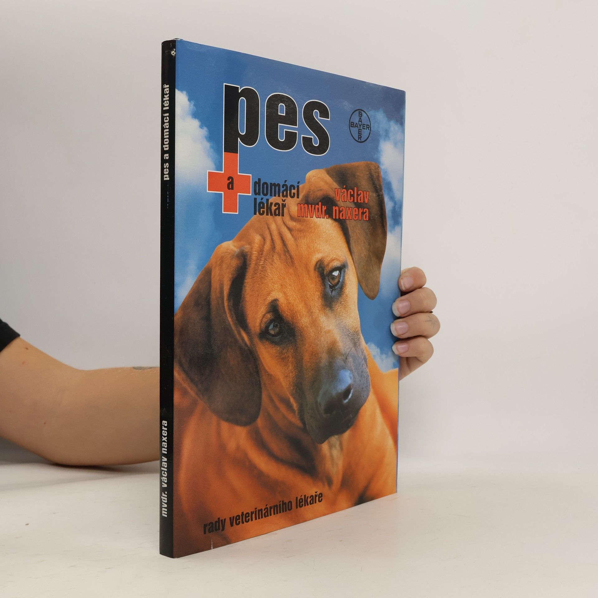 Pes a domácí lékař