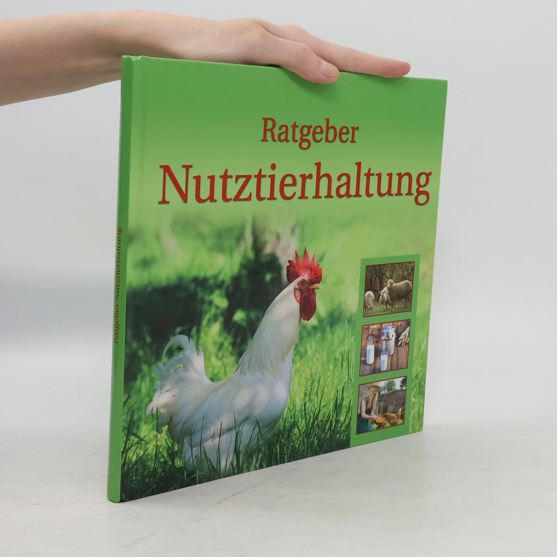 Collectif d'auteurs Ratgeber Nutztierhaltung