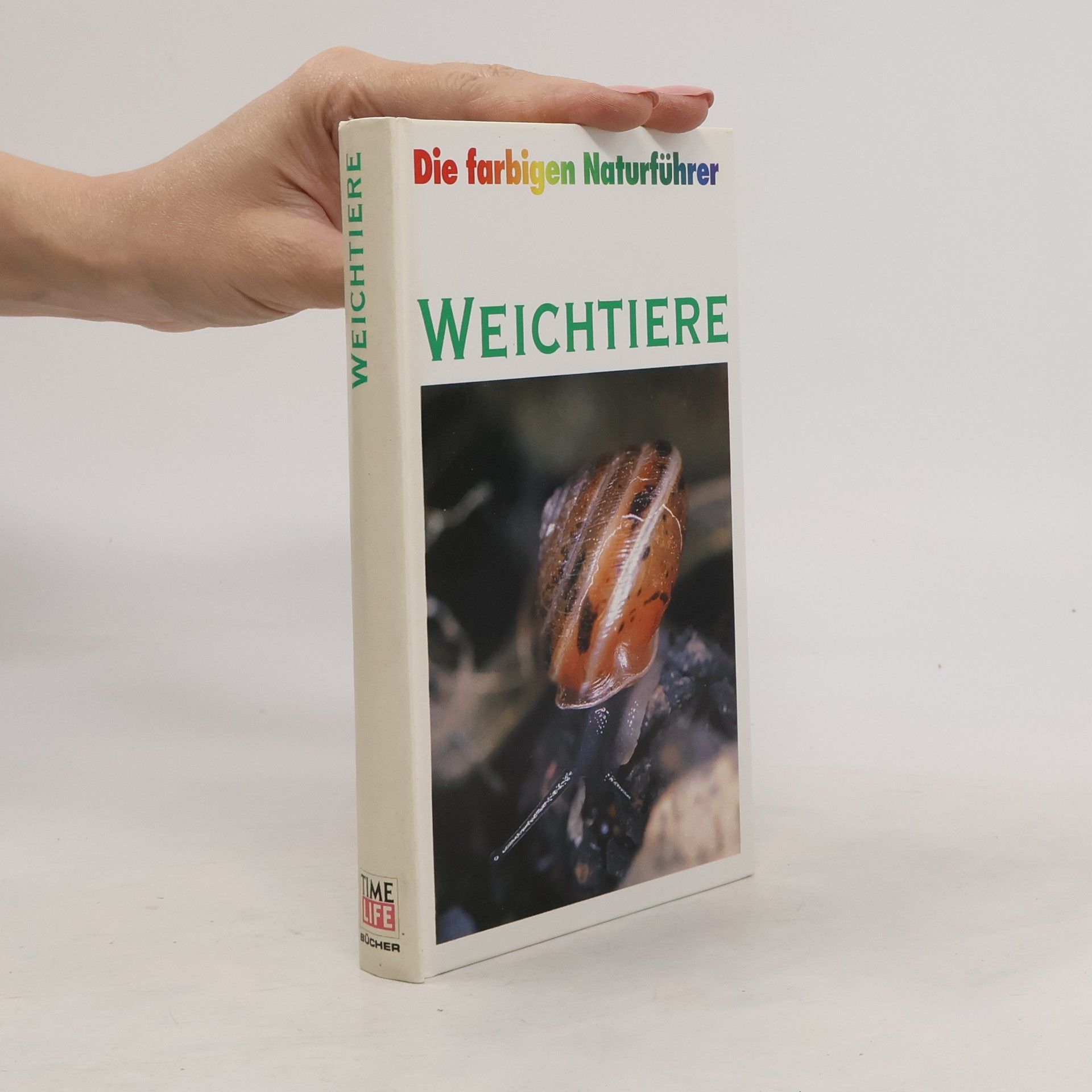 Autorenkollektiv Weichtiere