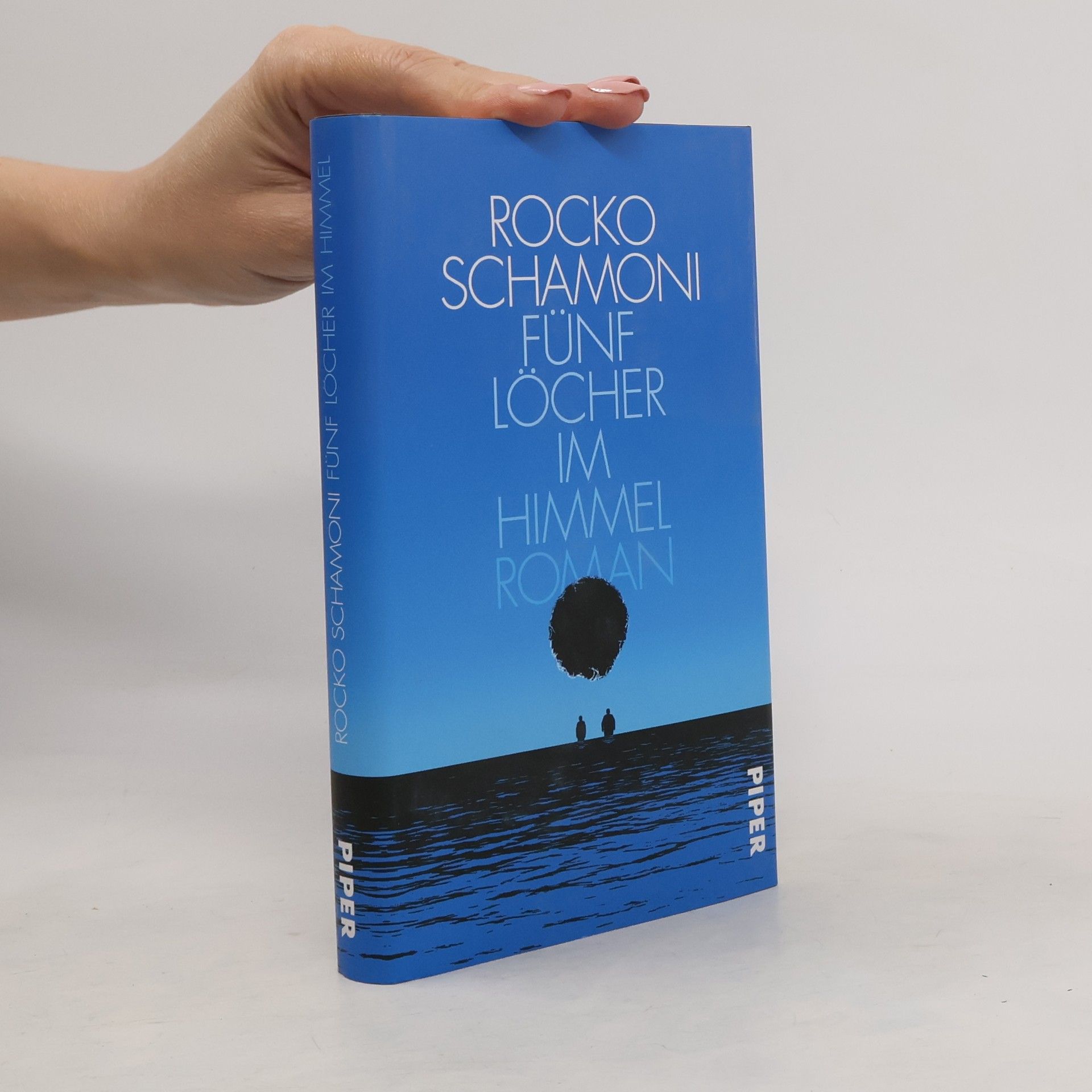 Rocko Schamoni Fünf Löcher im Himmel