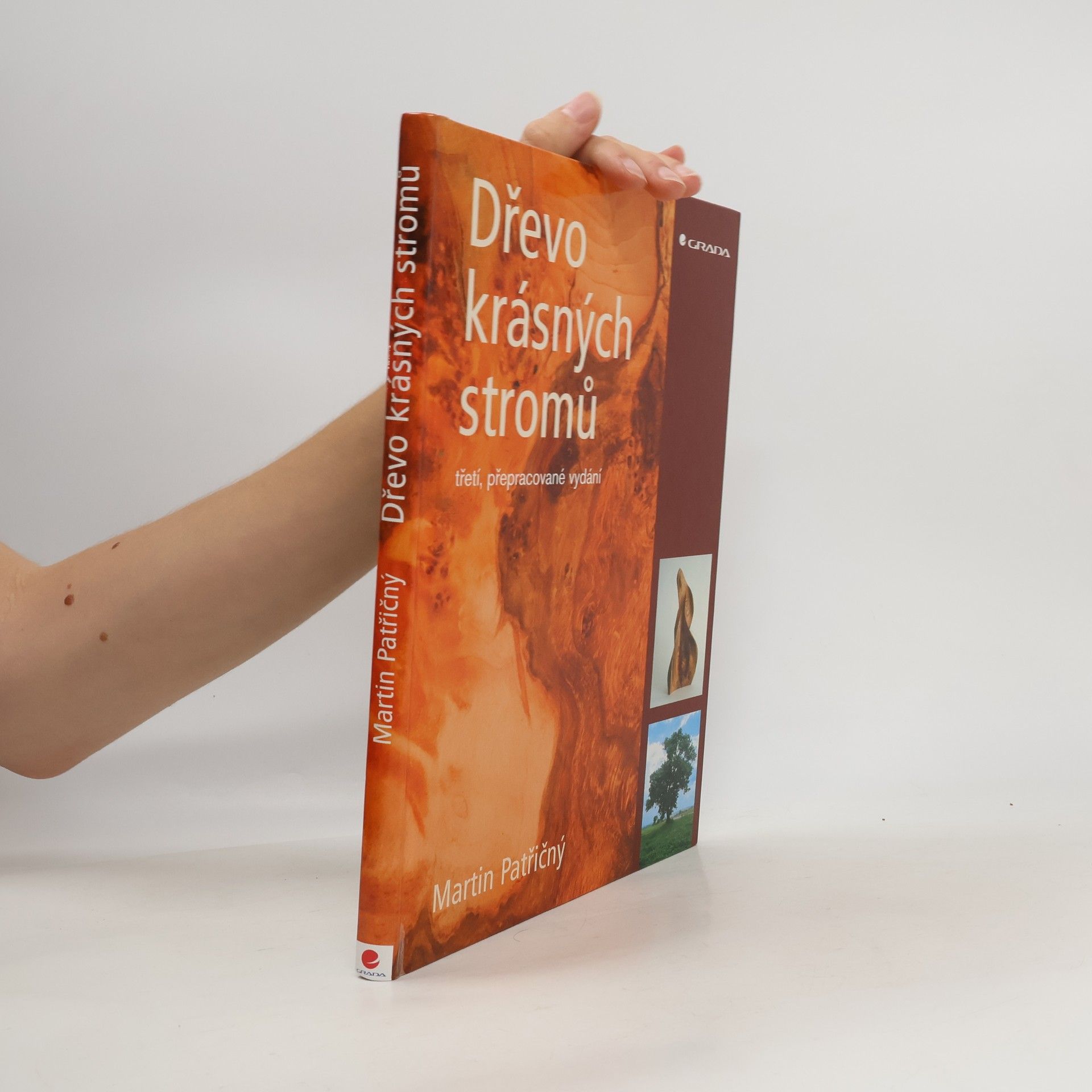 Martin Patřičný Dřevo krásných stromů