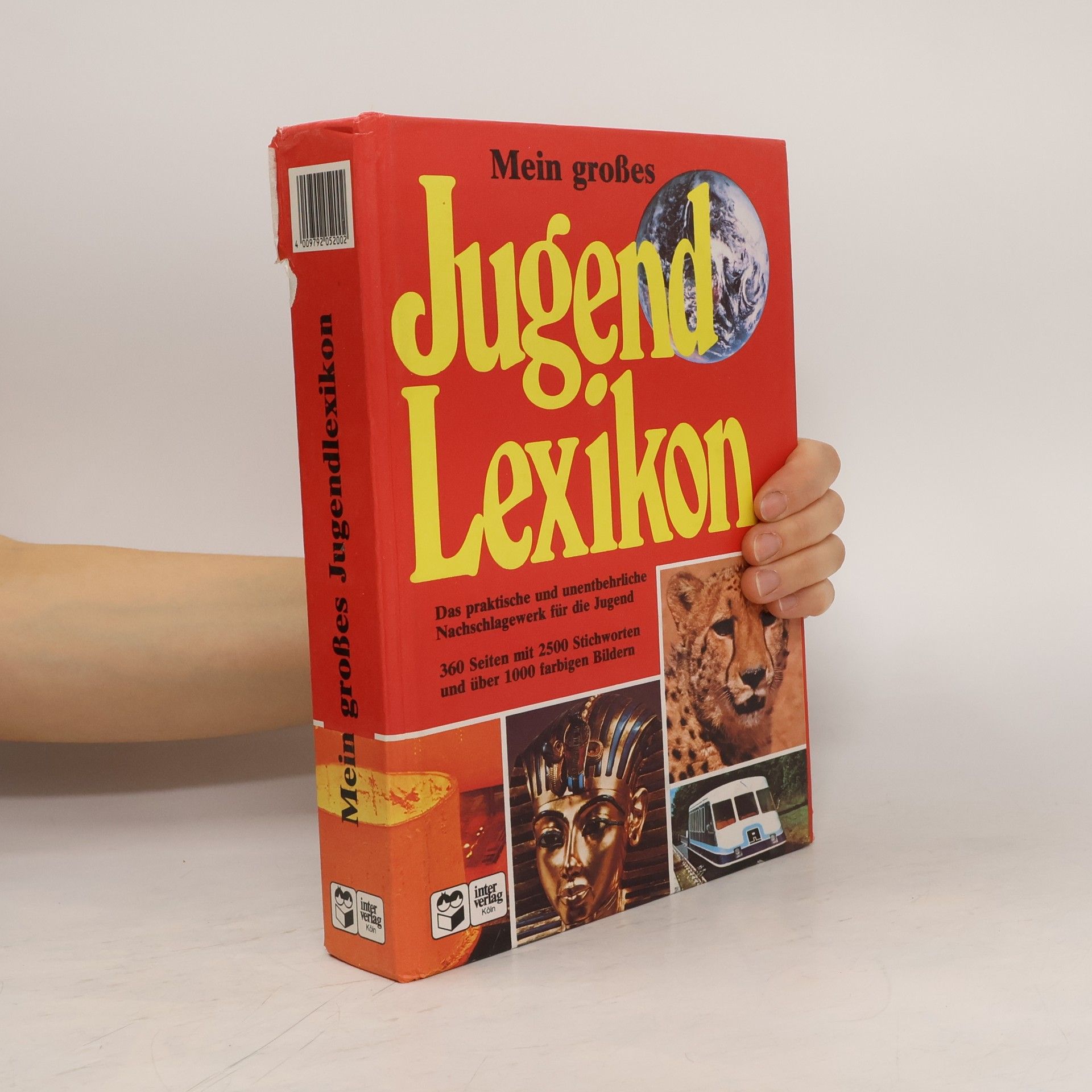 AA.VV. Mein großes Jugend Lexikon