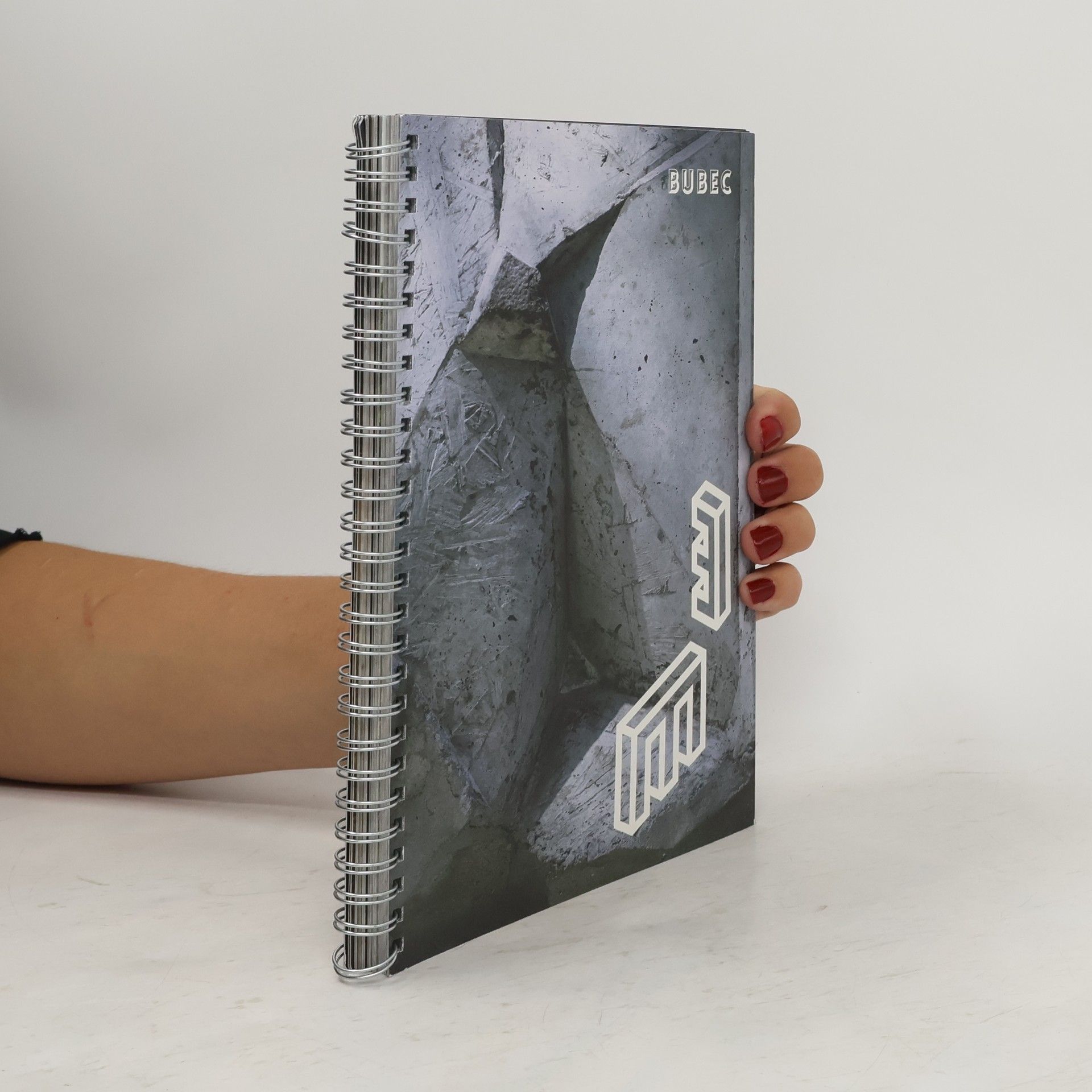 AA.VV. Umění v prostoru. Art in Space