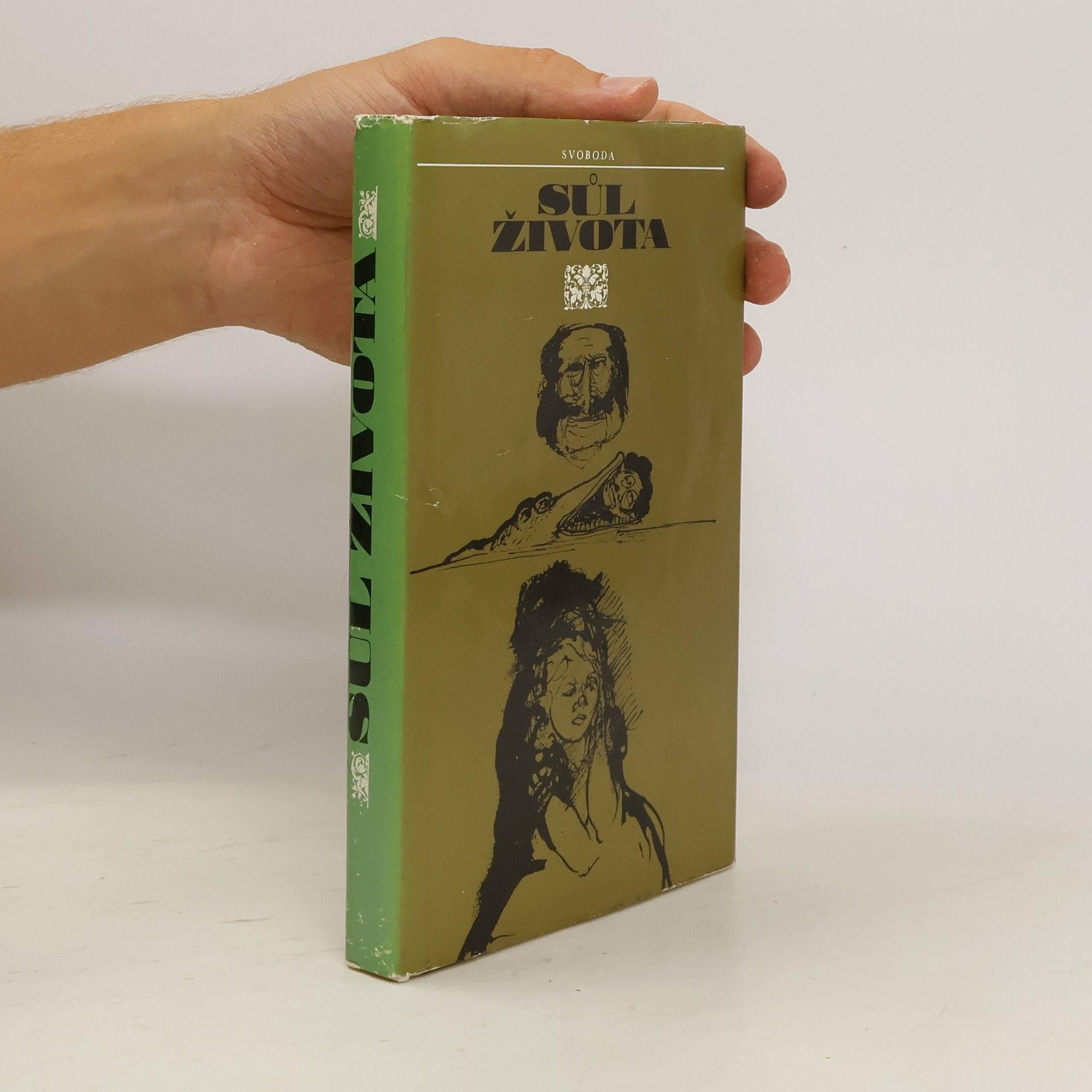 Autorenkollektiv Sůl života