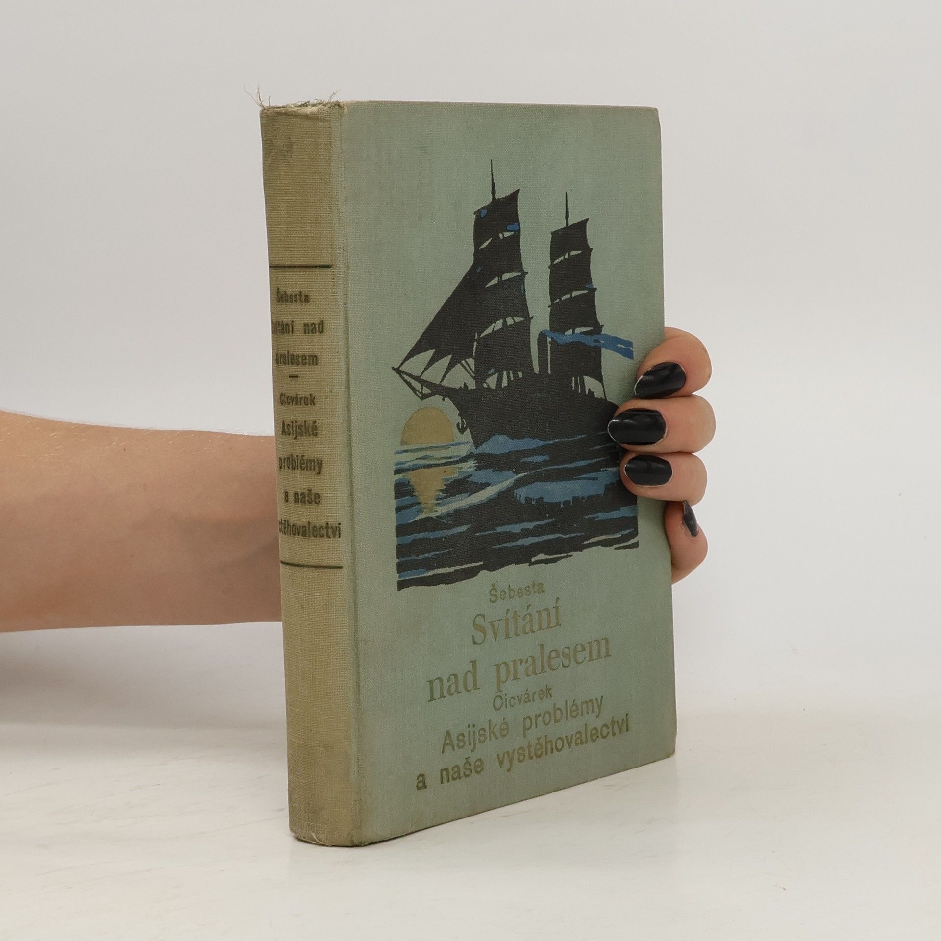 Pavel Šebesta Svítání nad pralesem I