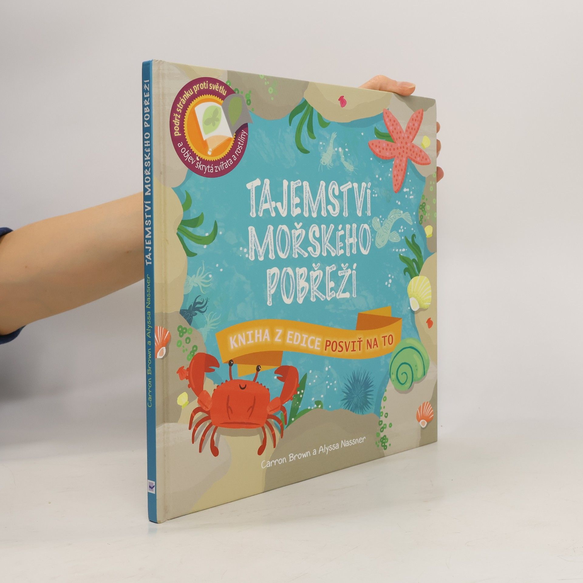 Carron Brown Tajemství mořského pobřeží