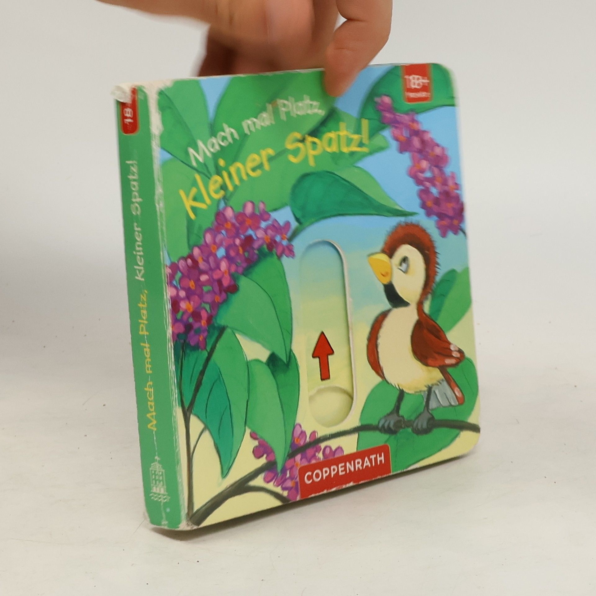 Anna Taube Mach mal Platz, kleiner Spatz!