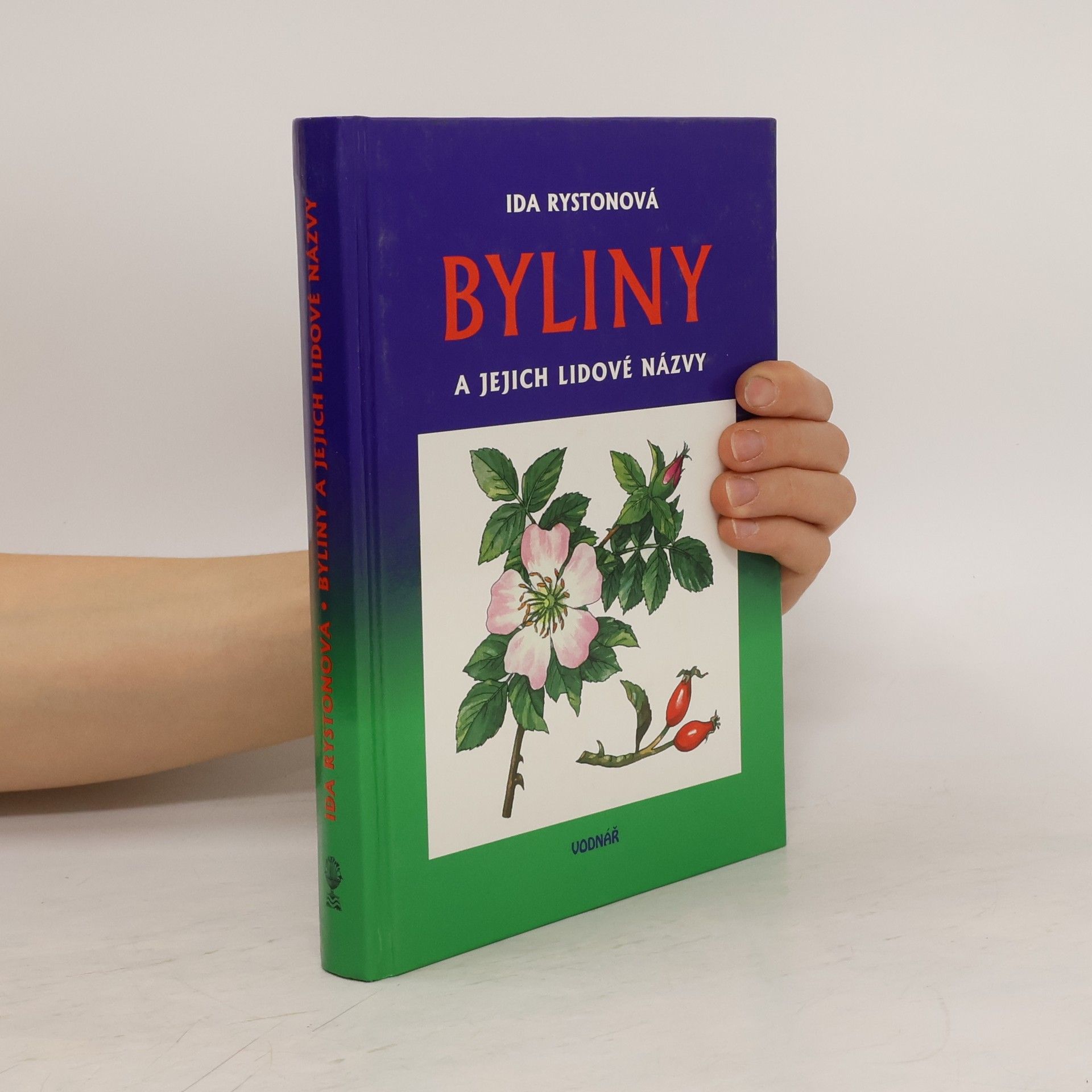 Byliny a jejich lidové názvy