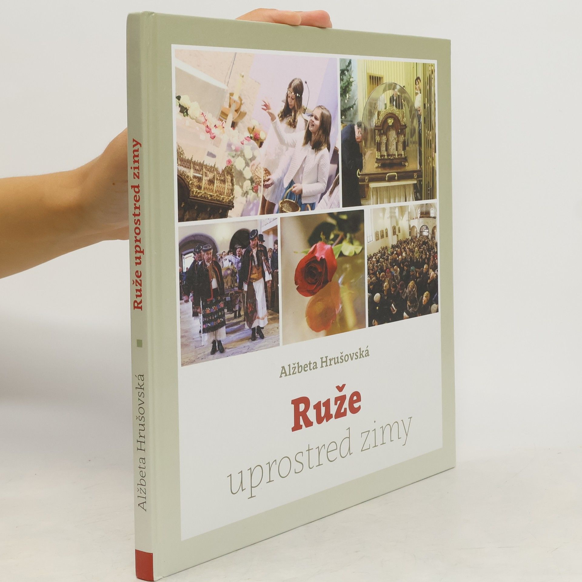 Ruže uprostred zimy