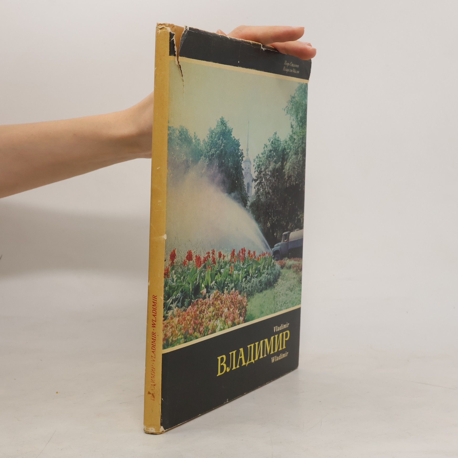 Igor Stoletov Владимир