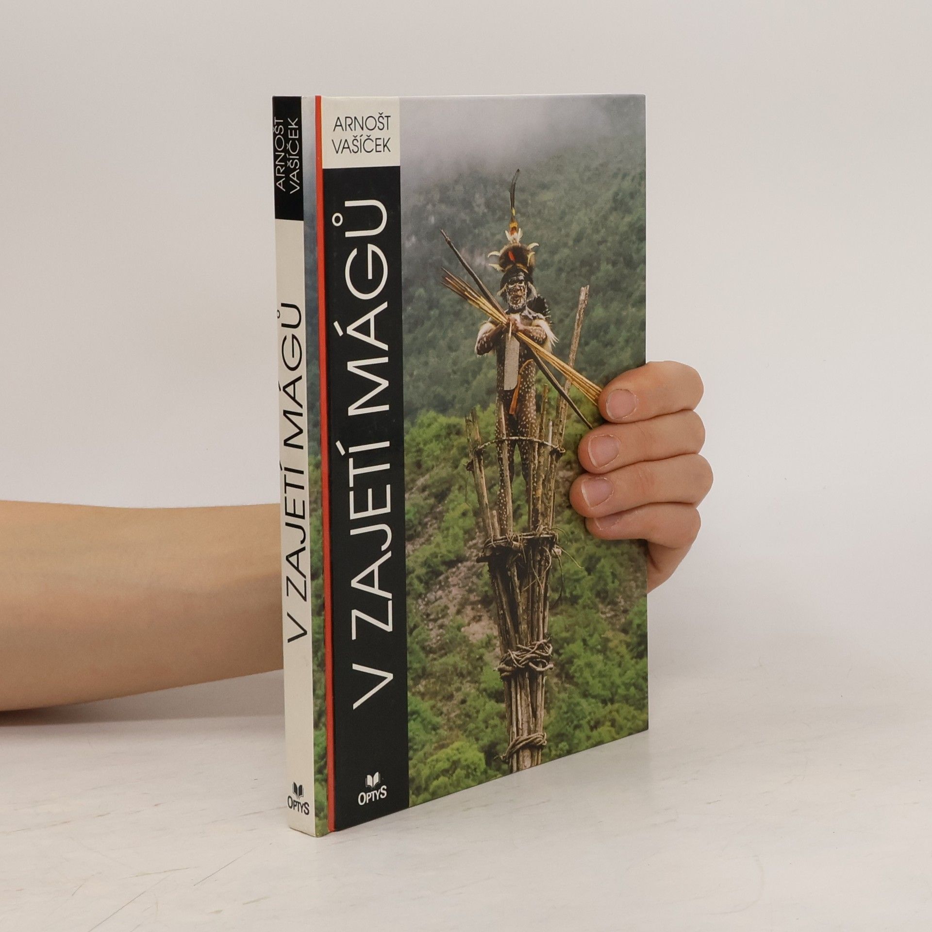 Arnošt Vašíček V zajetí mágů