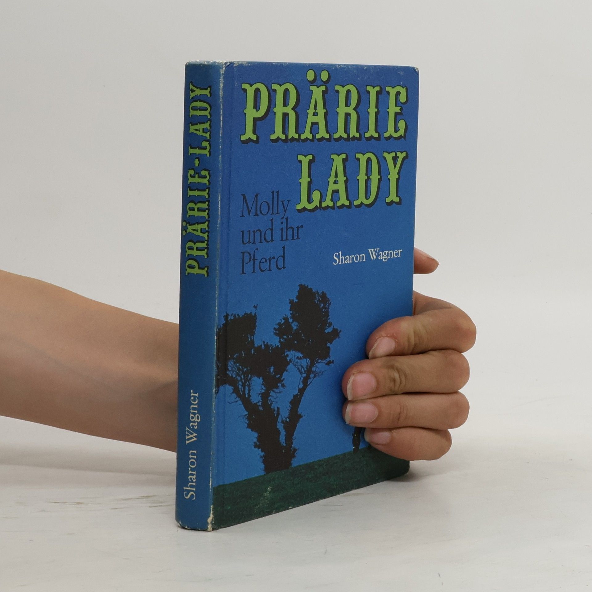 Prärie Lady: Molly und ihr Pferd