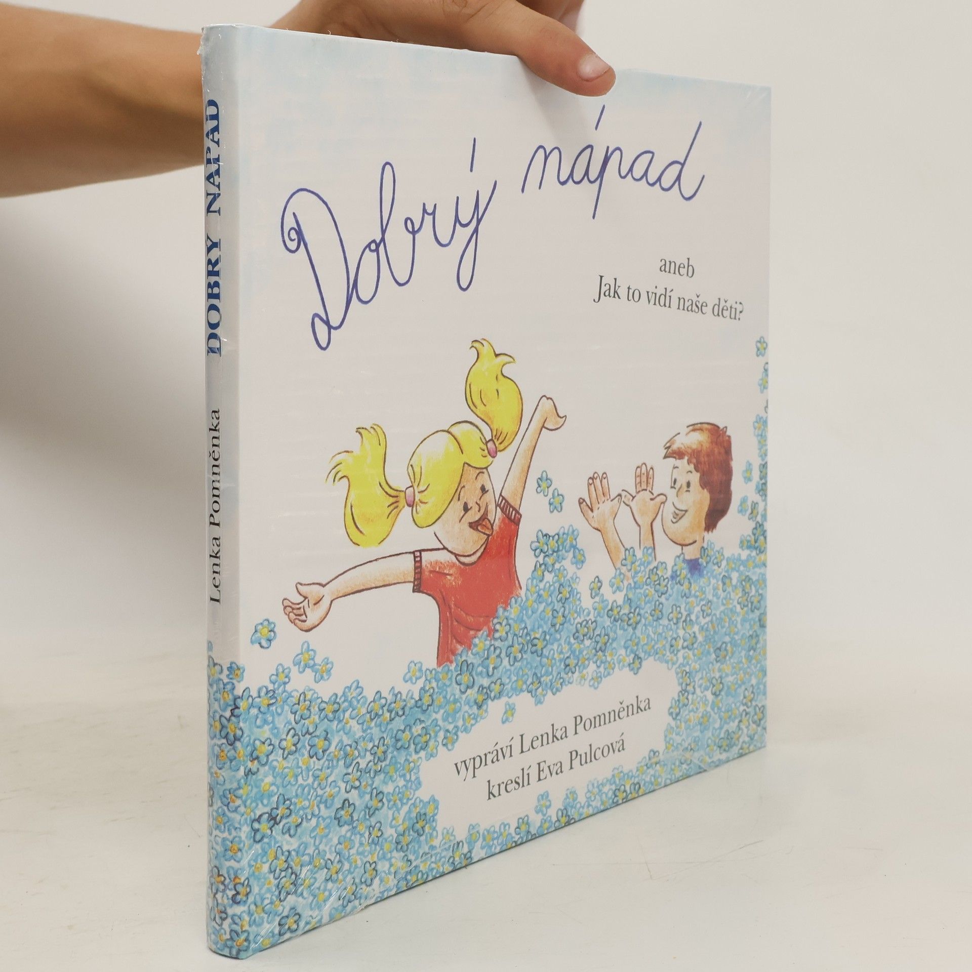 Lenka Pomněnka Dobrý nápad aneb Jak to vidí naše děti?