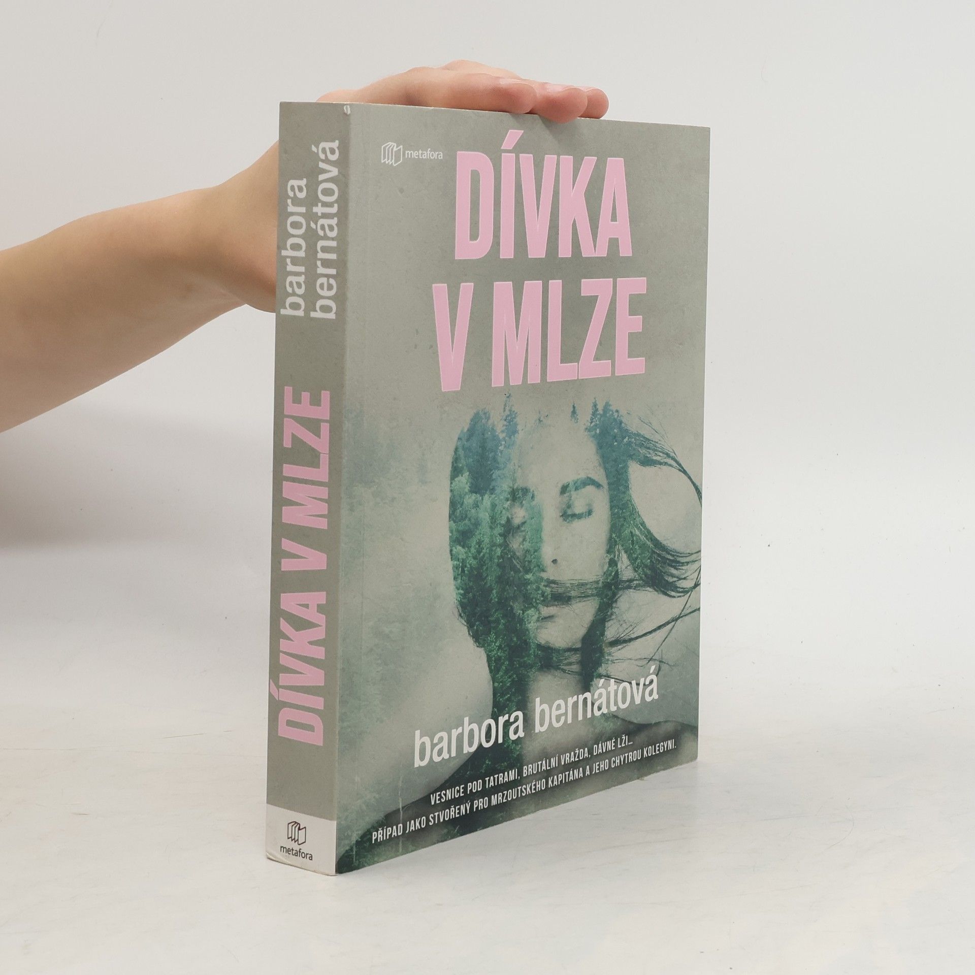 Dívka v mlze