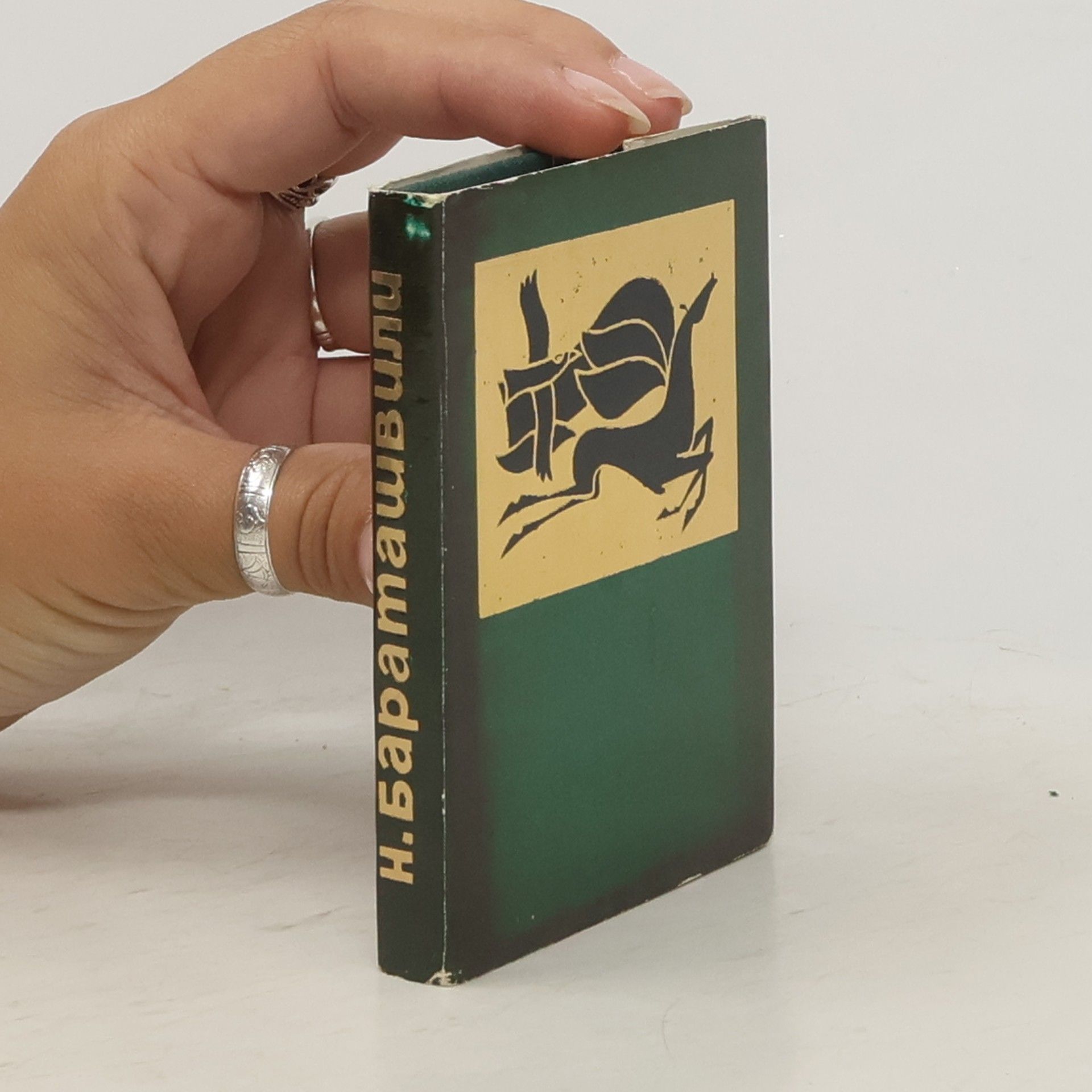 Nikoloz Melitonovich Baratashvili Стихотворения, Поэма