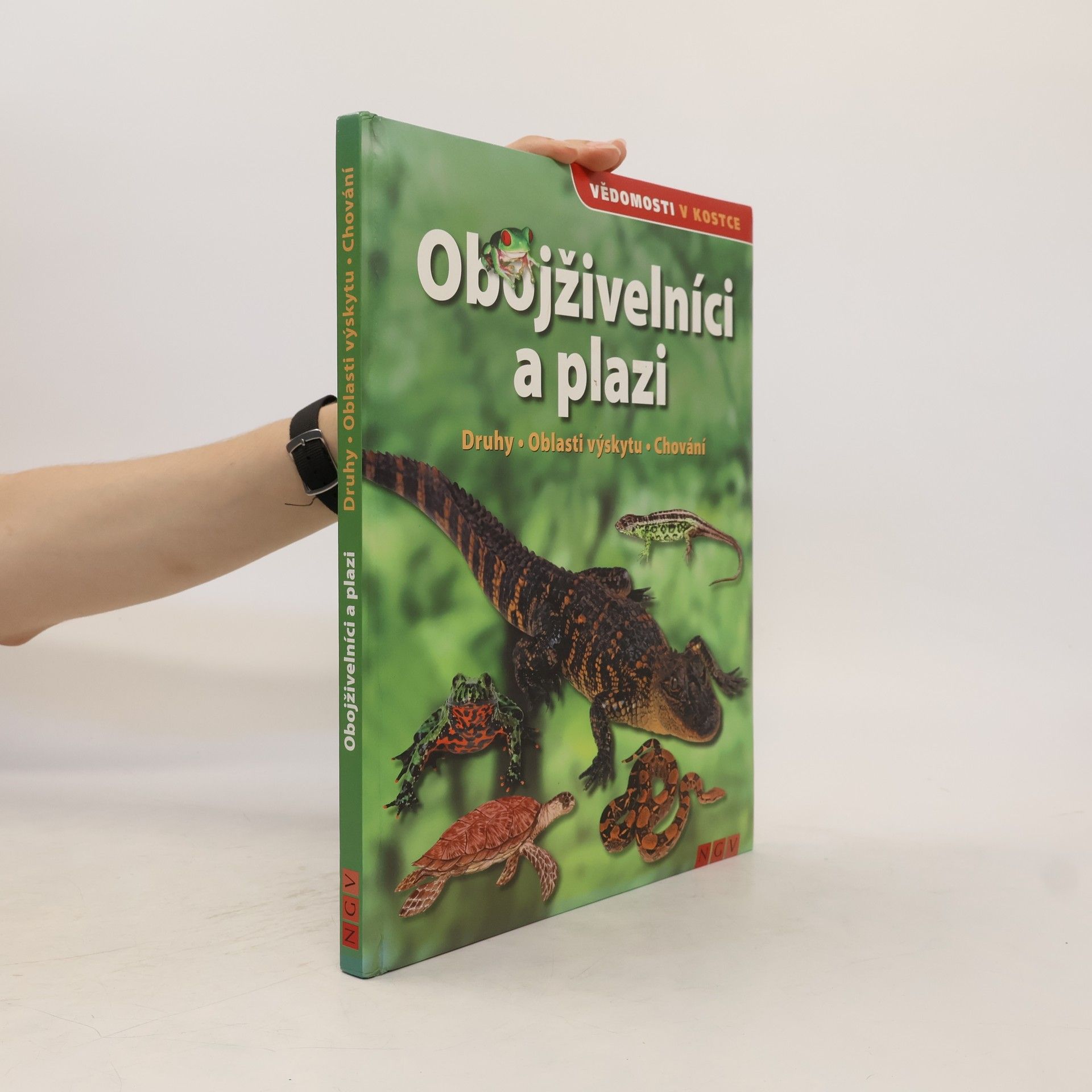 Martin Sobkuljak Obojživelníci a plazi