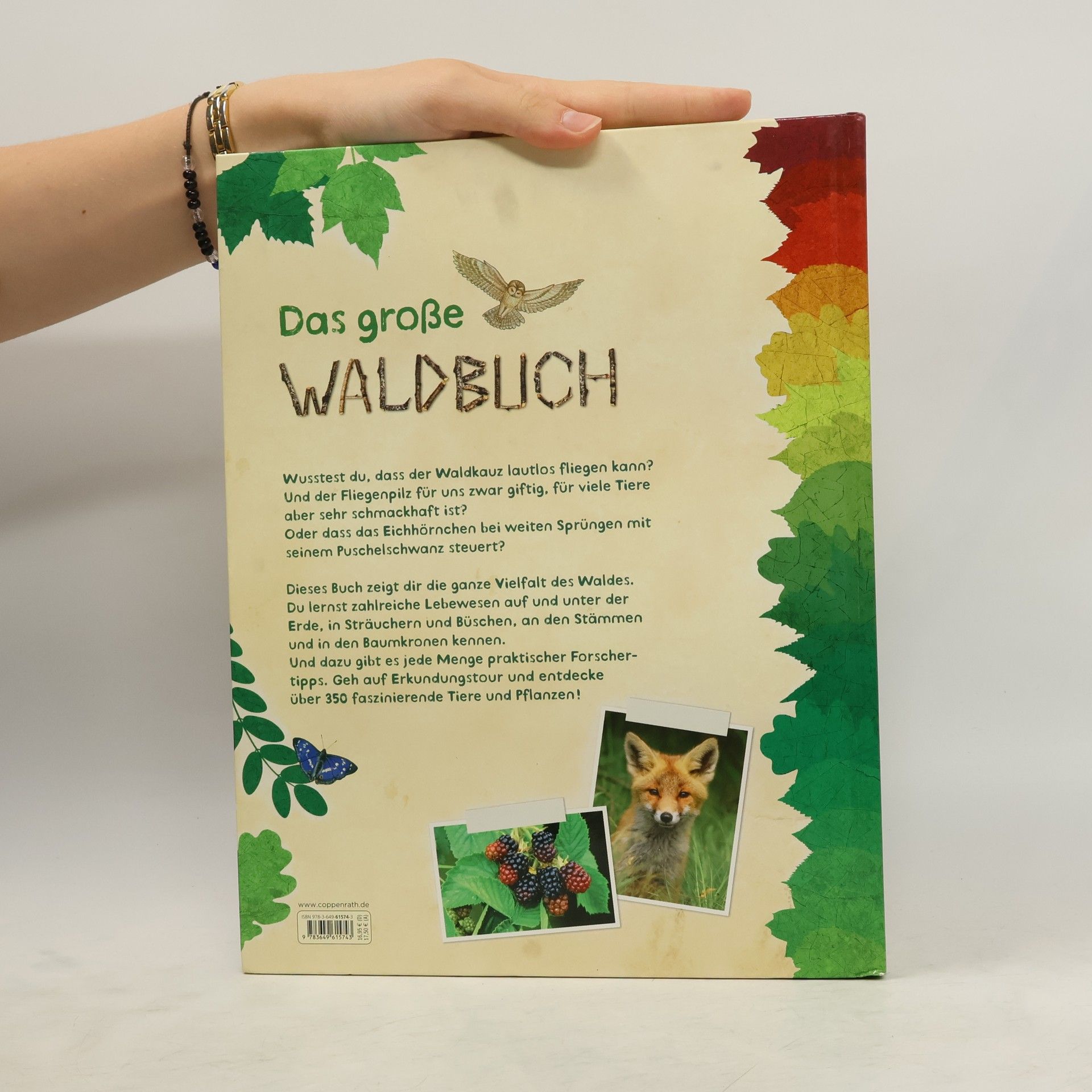 Bärbel Oftring Das große Waldbuch