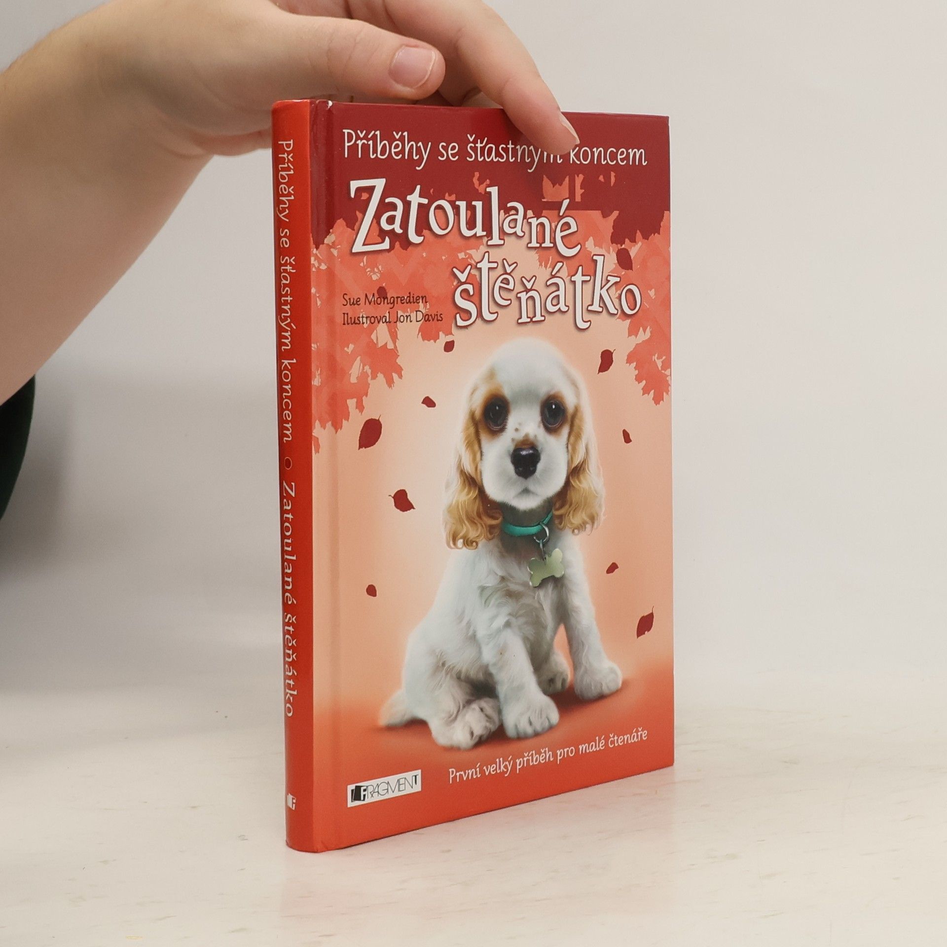 Jon Davis Zatoulané štěňátko