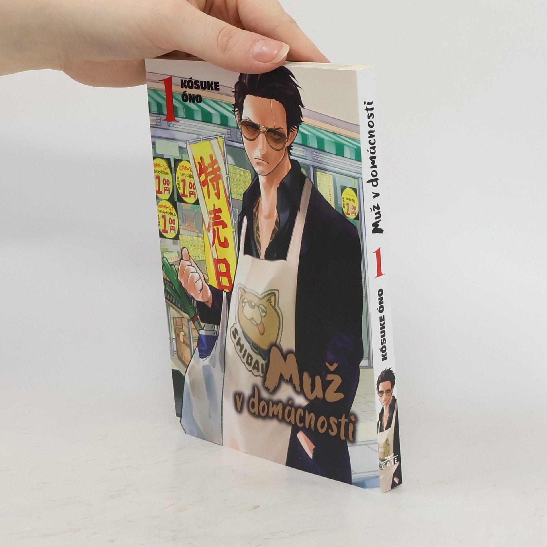 Muž v domácnosti 1