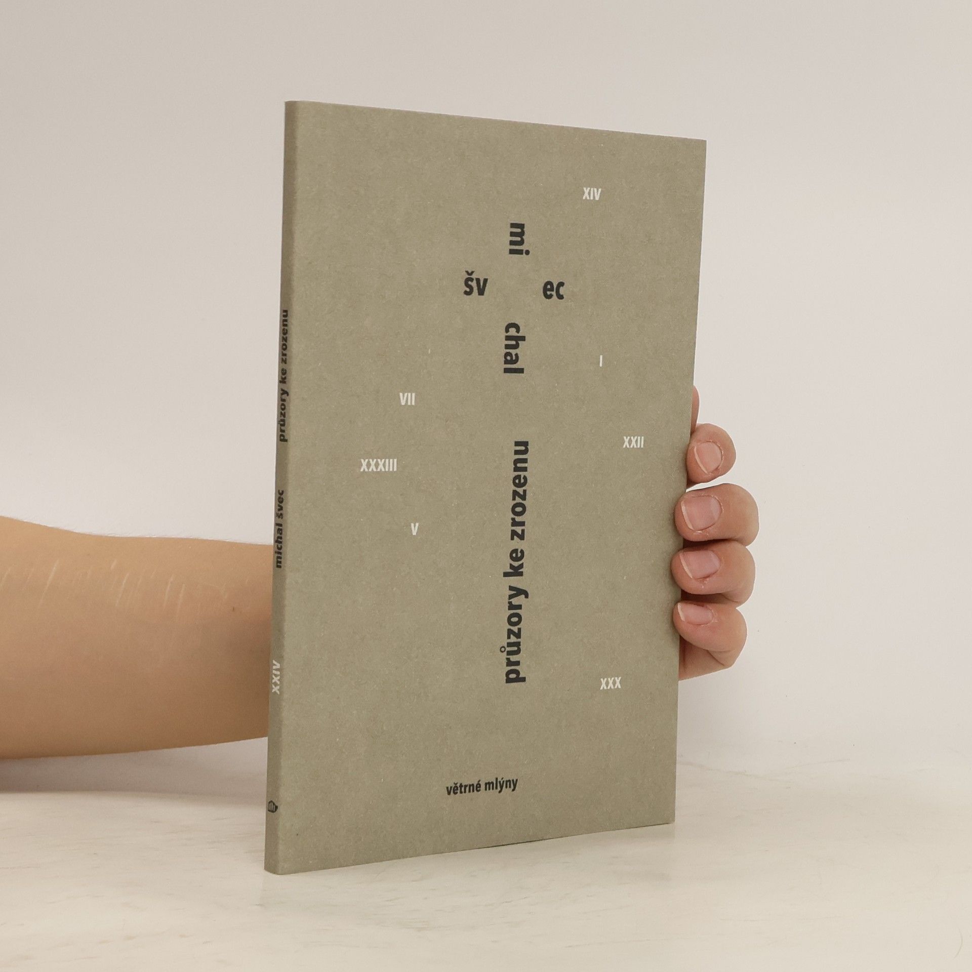 Michal Švec Průzory ke zrozenu