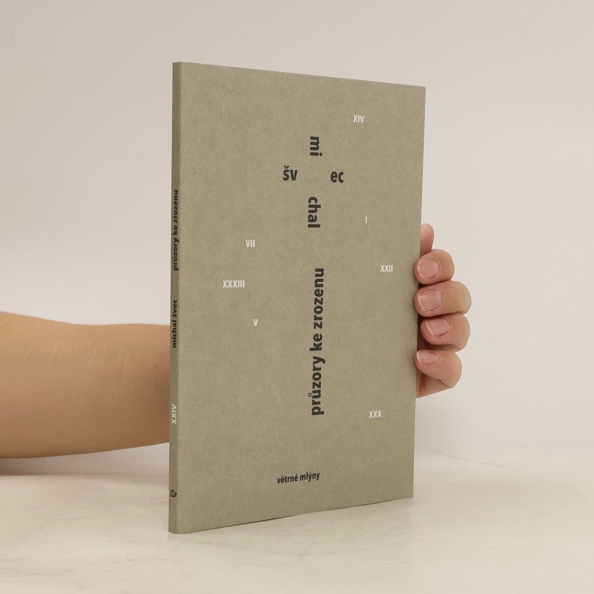 Michal Švec Průzory ke zrozenu