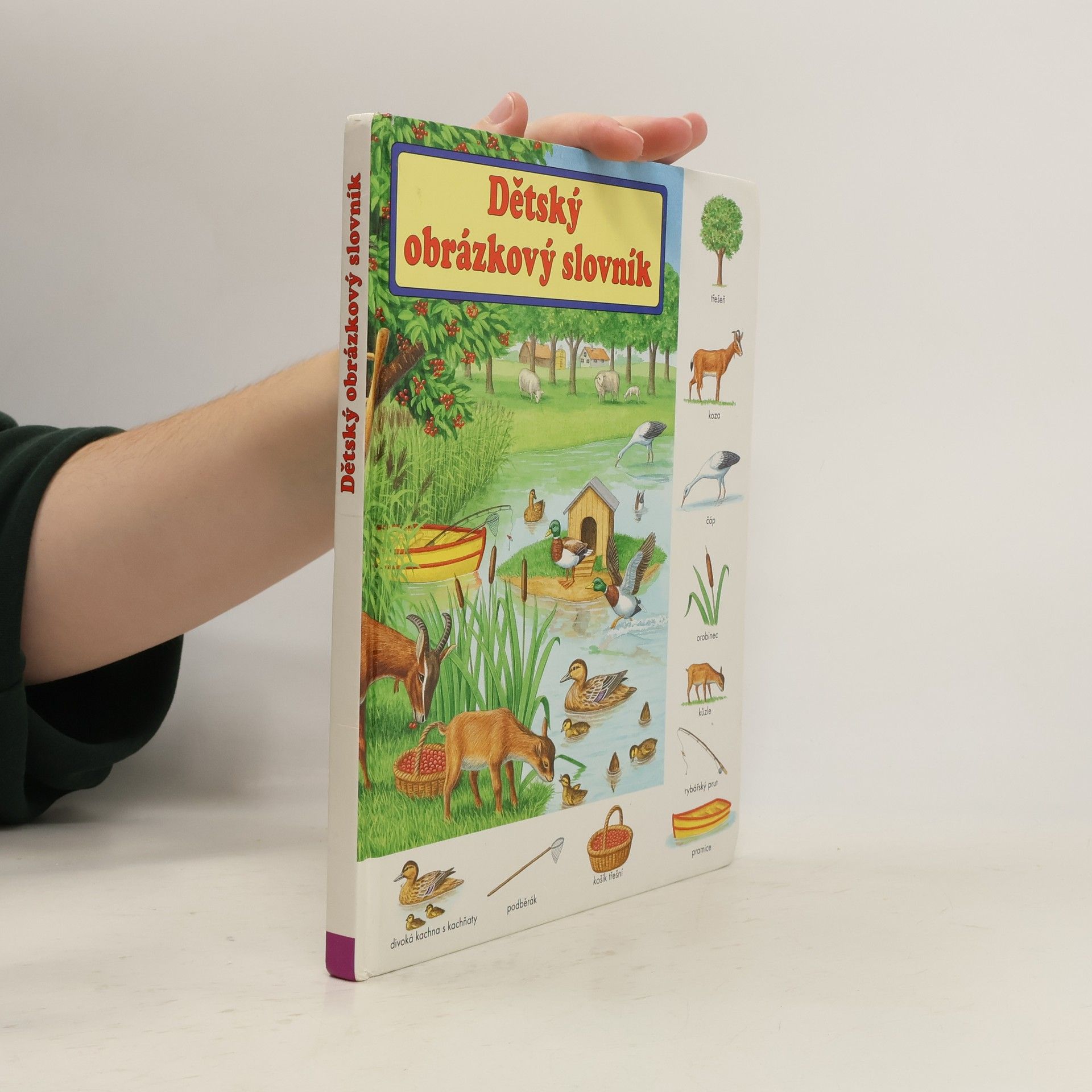 Dětský obrázkový slovník