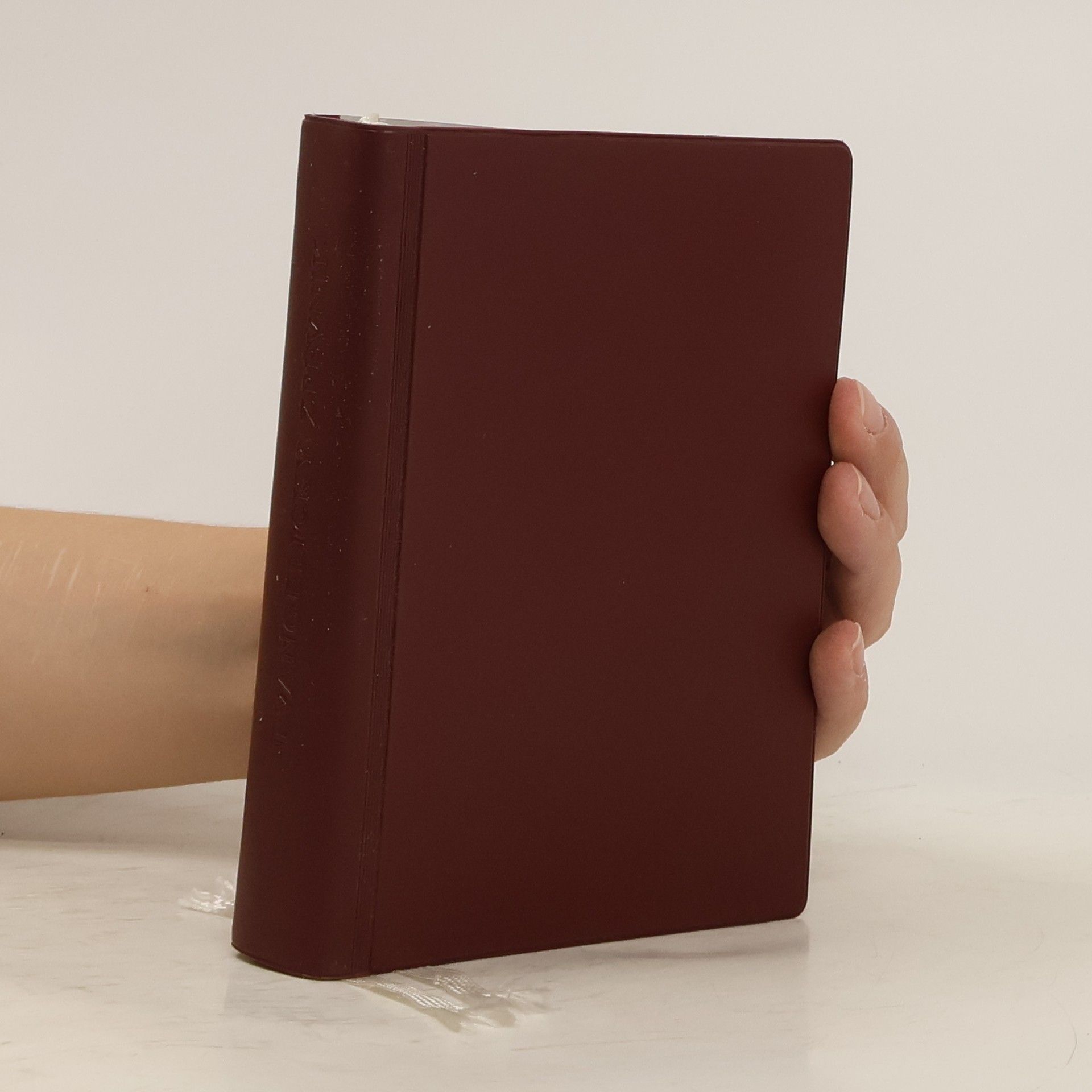 Kolektiv autorů Evangelický zpěvník