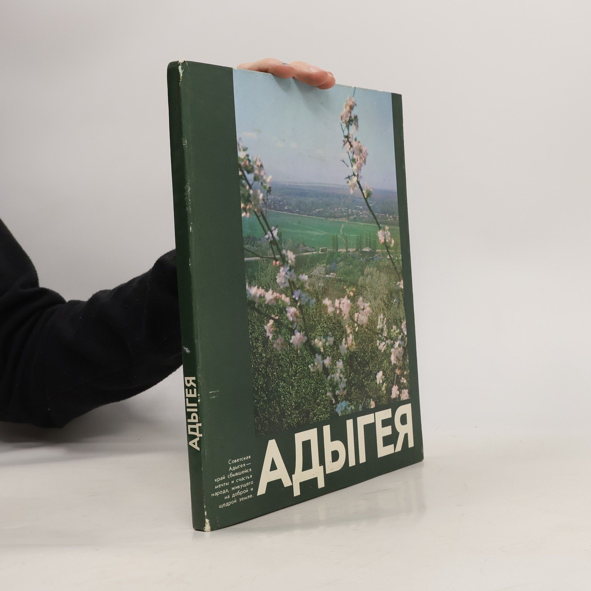 Христофор Ардавасович Баладжиян Адыгея