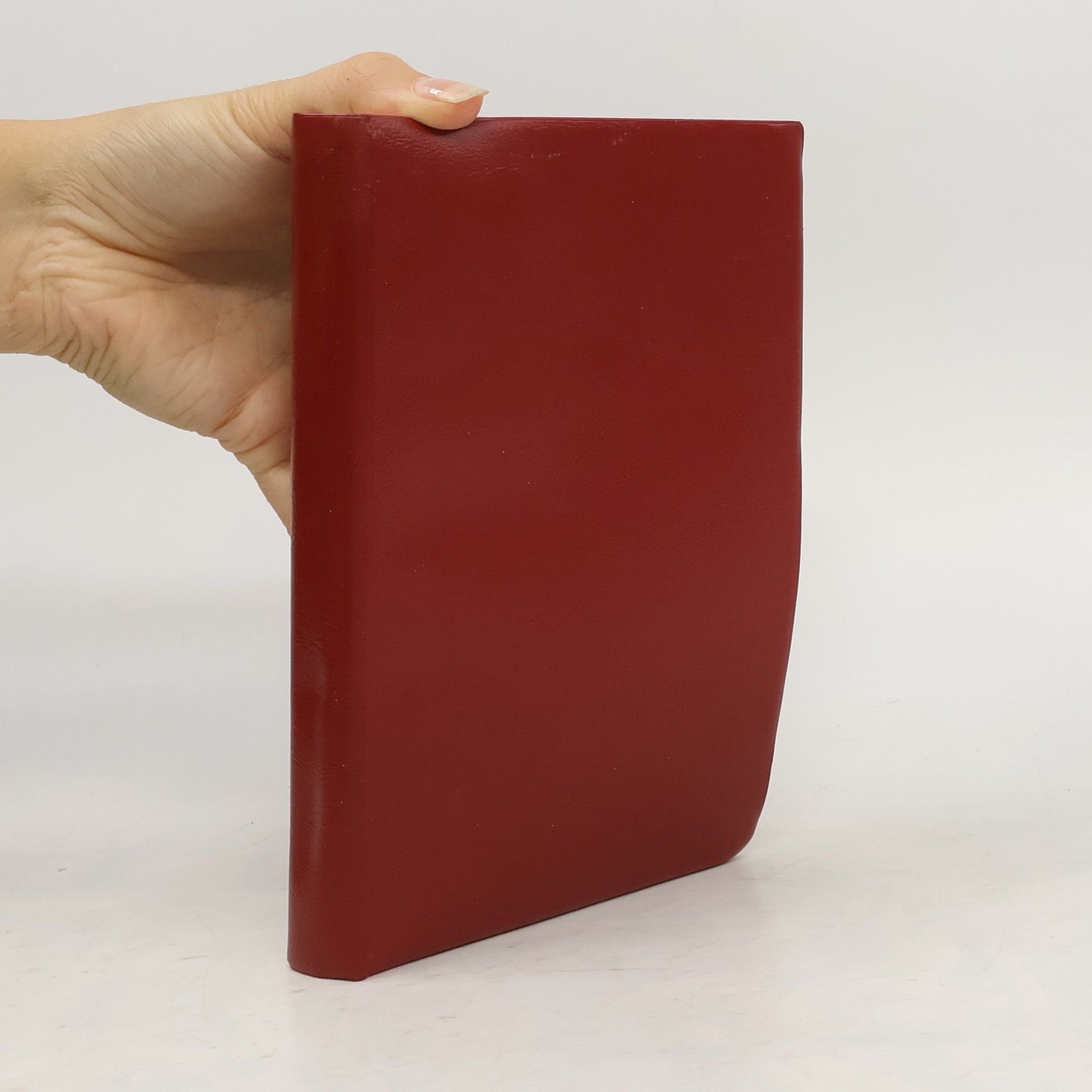 kolektiv Biblí svatá aneb všecka svatá písma Starého i Nového zákona