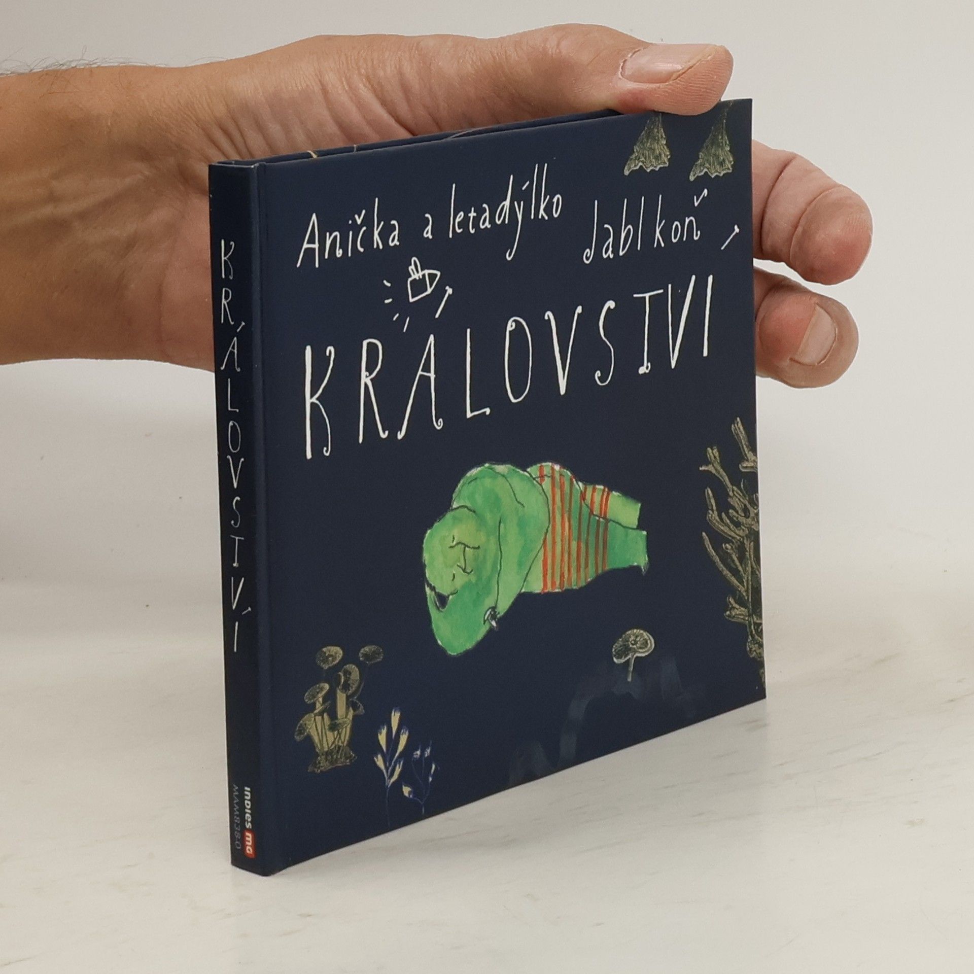 Kolektiv autorů Království. Jablkoň Anička a letadýlko