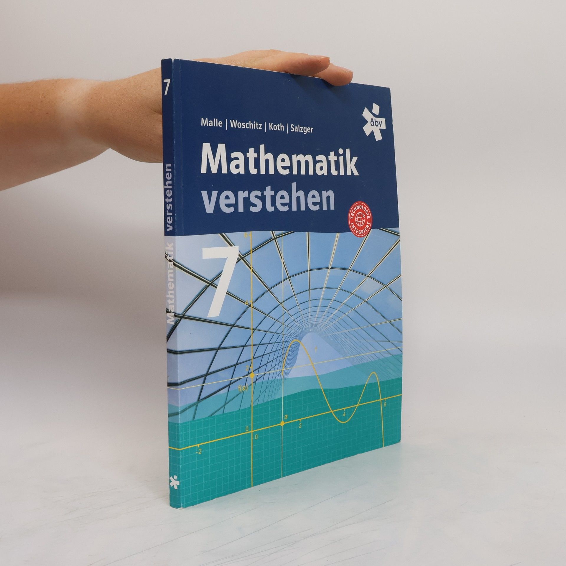 Mathematik verstehen 7