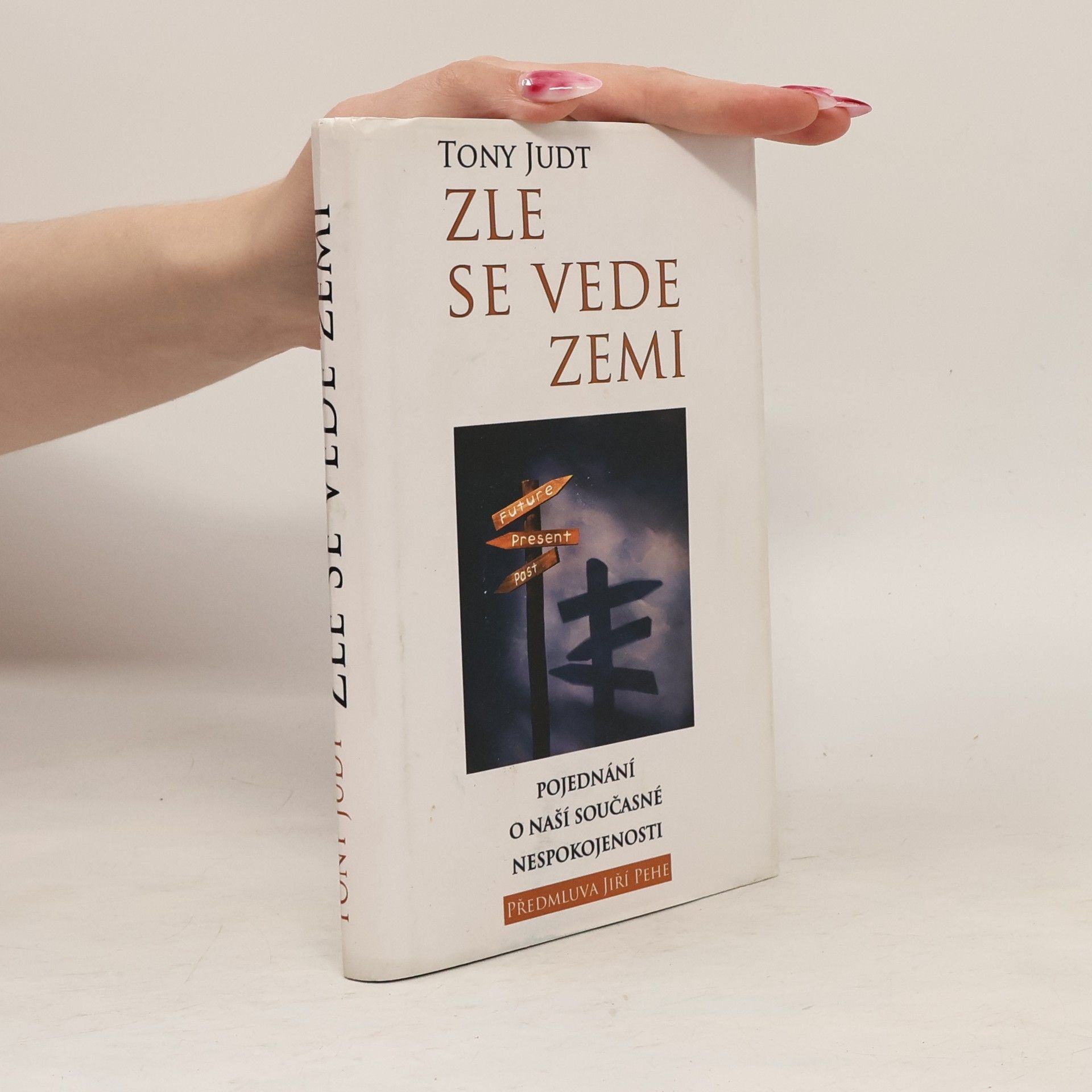 Tony Judt Zle se vede zemi: Pojednání o naší současné nespokojenosti