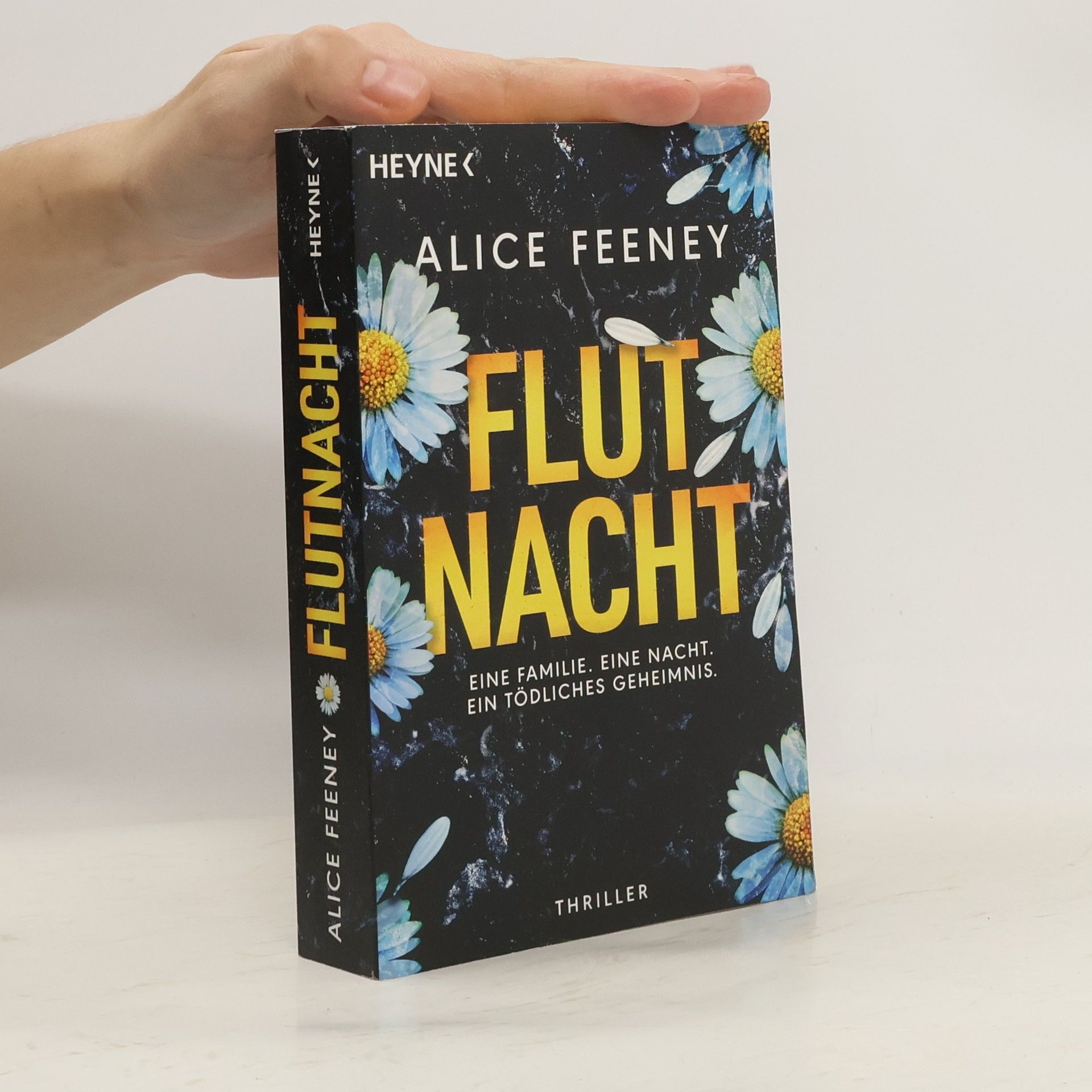 Flutnacht – Eine Familie. Eine Nacht. Ein tödliches Geheimnis.. Thriller