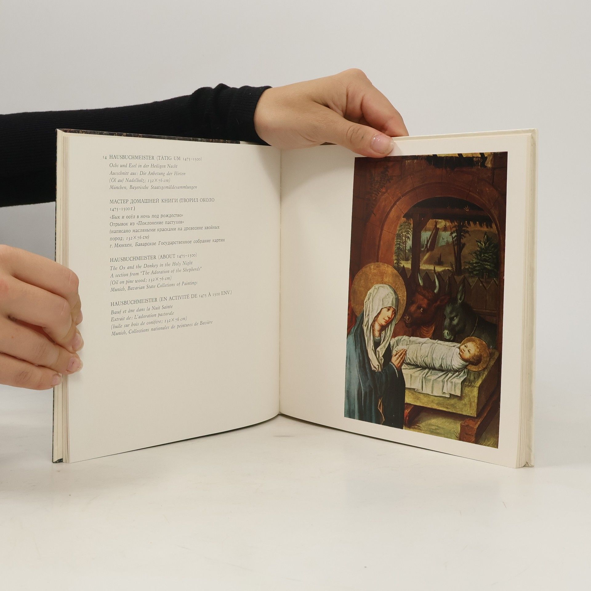 Autorenkollektiv Das Tier in der Kunst