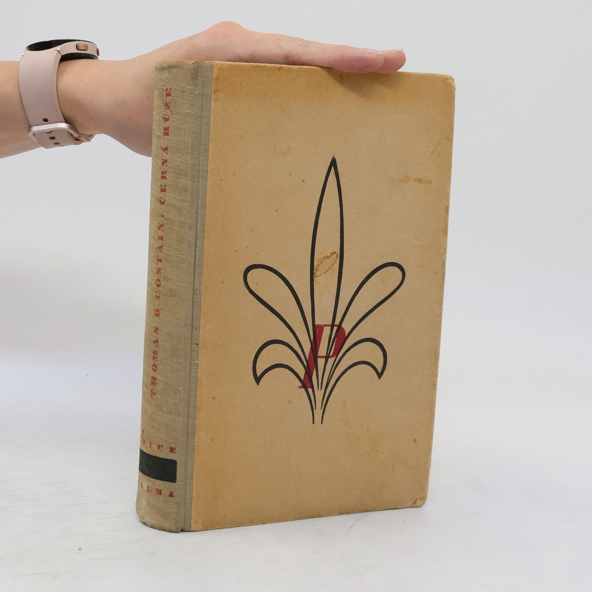 Thomas Bertram Costain Černá růže