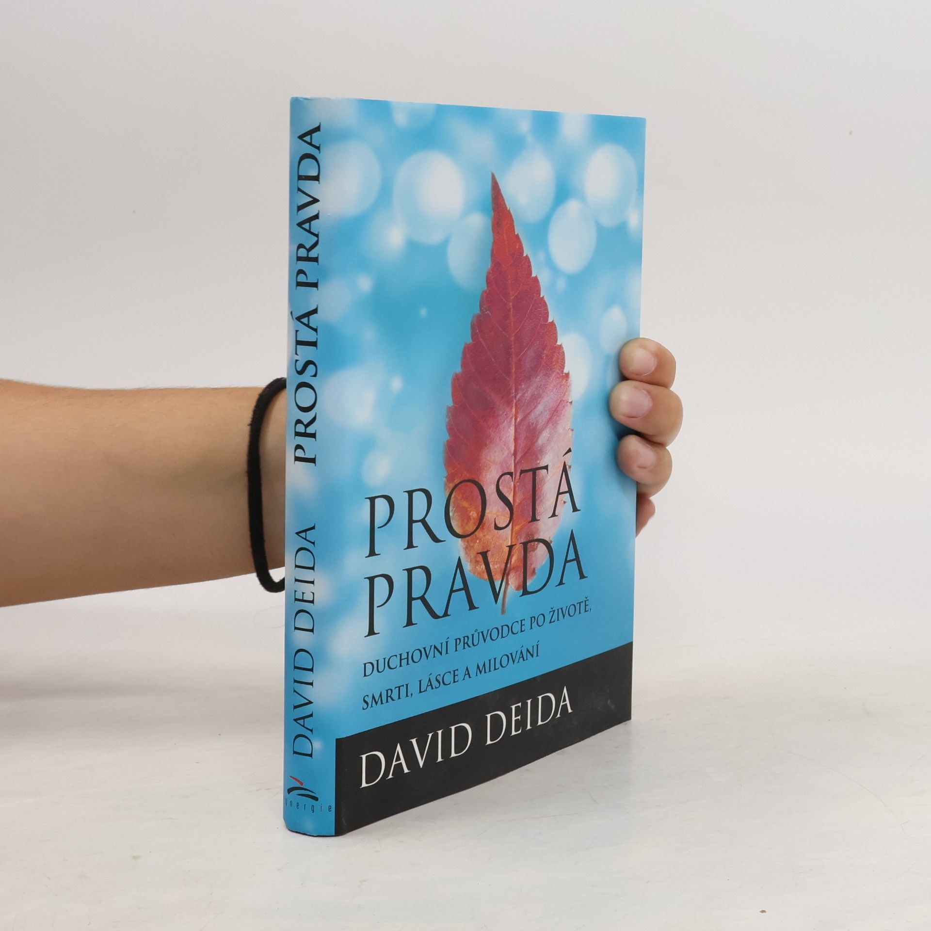 David Deida Prostá pravda