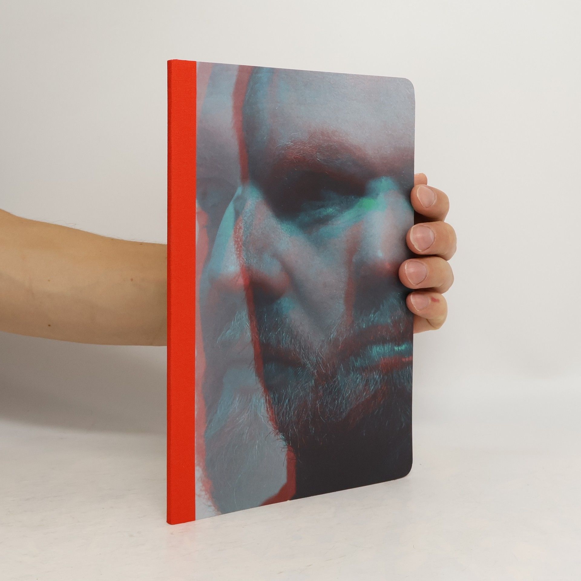 AA.VV. Almost the Magnificent Seven. Téměř sedm statečných