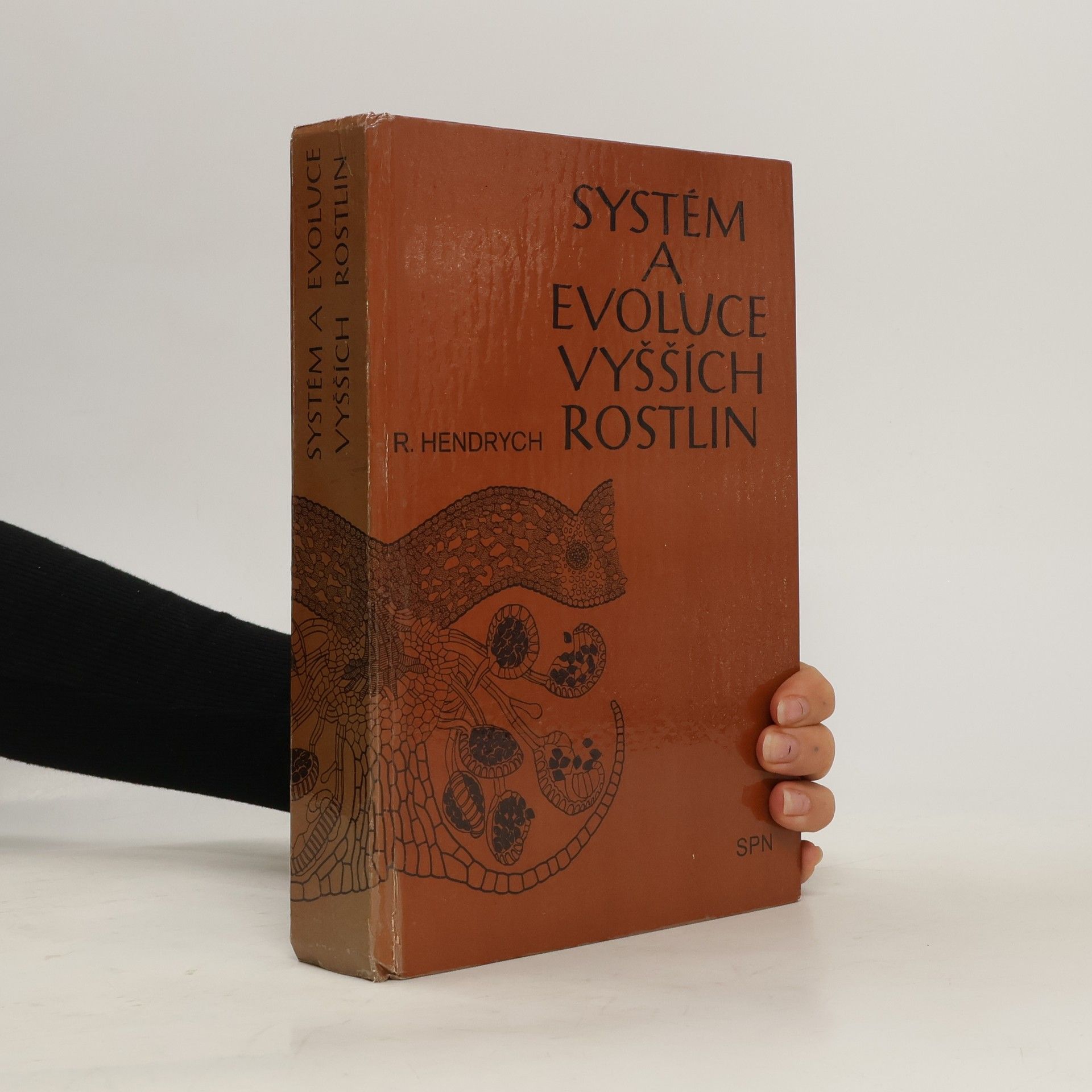 Radovan Hendrych Systém a evoluce vyšších rostlin