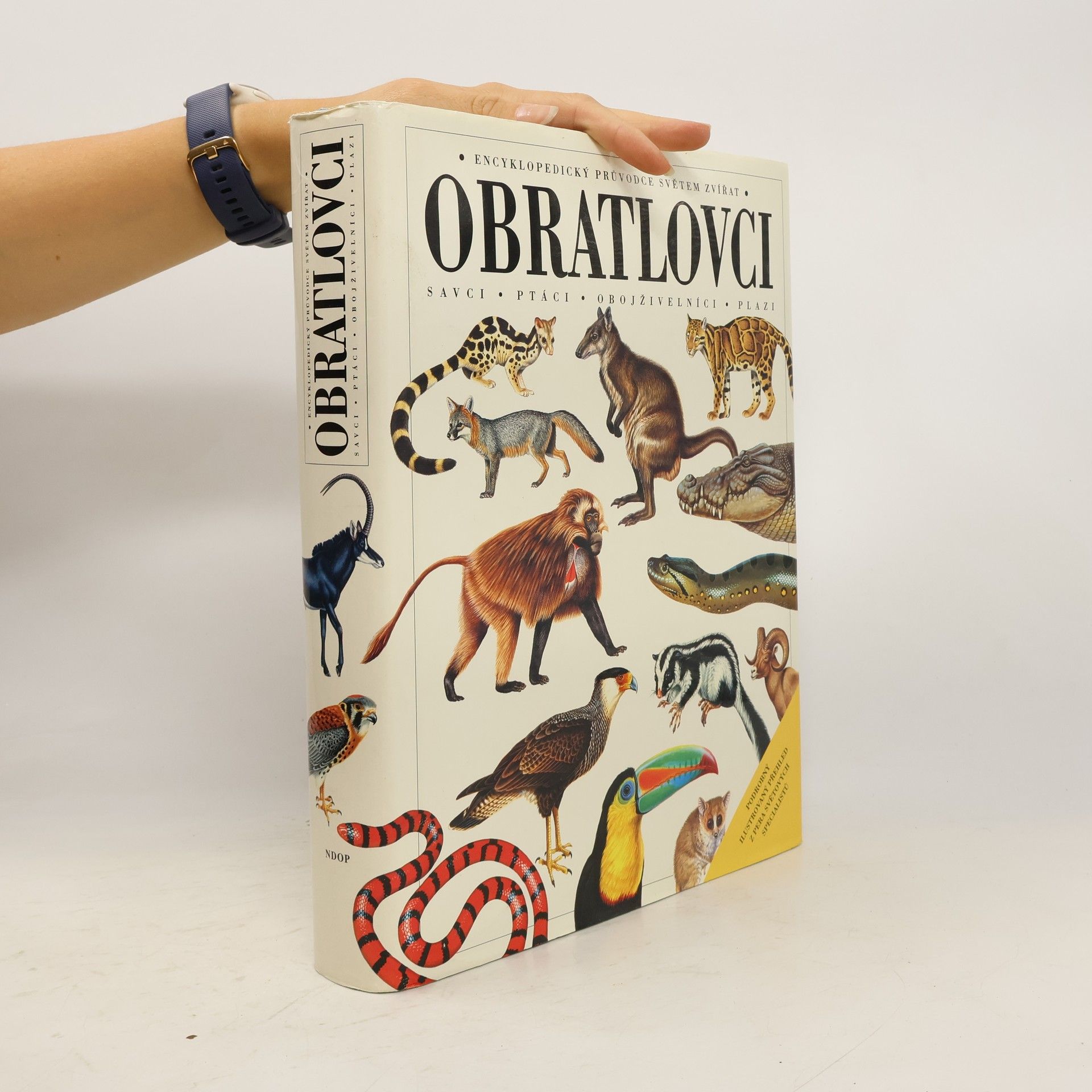 Obratlovci : savci, ptáci, obojživelníci, plazi : encyklopedický průvodce světem zvířat