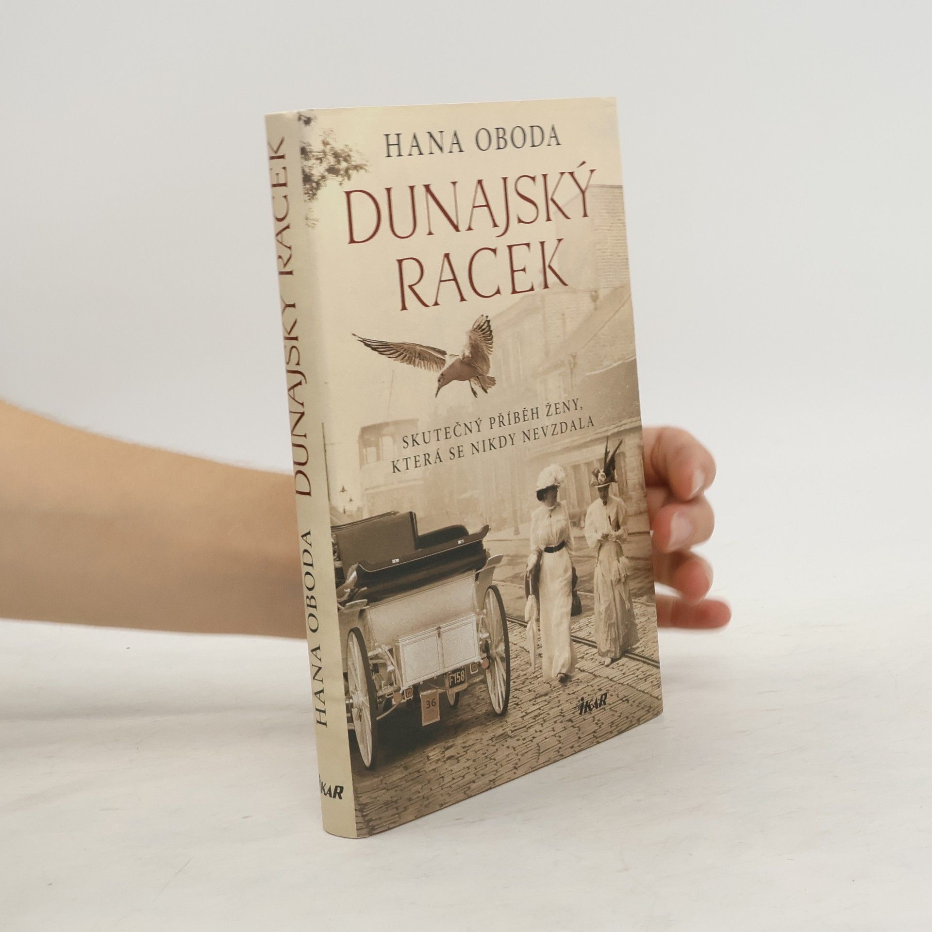 Hana Oboda Dunajský racek