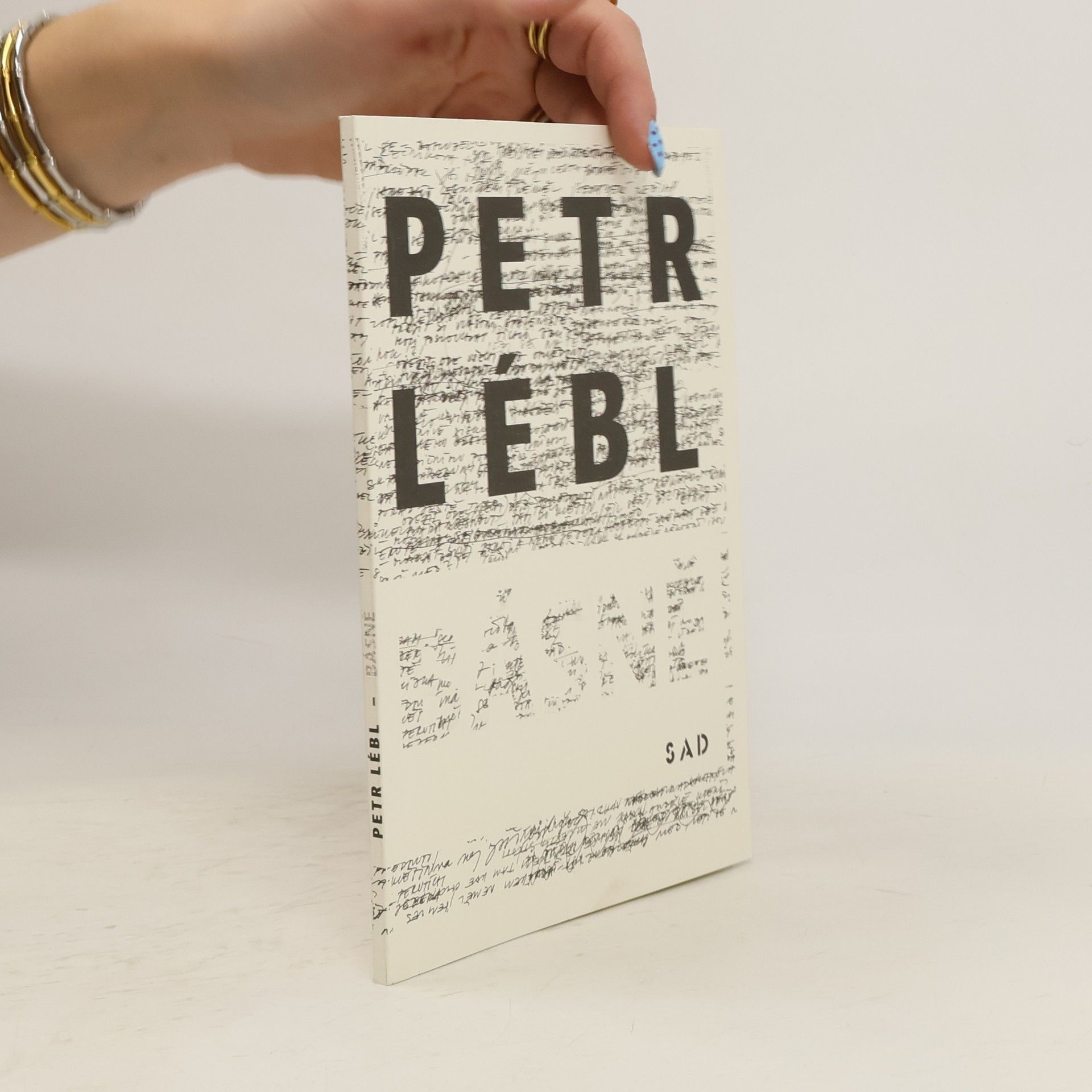 Kolektiv autorů Petr Lébl