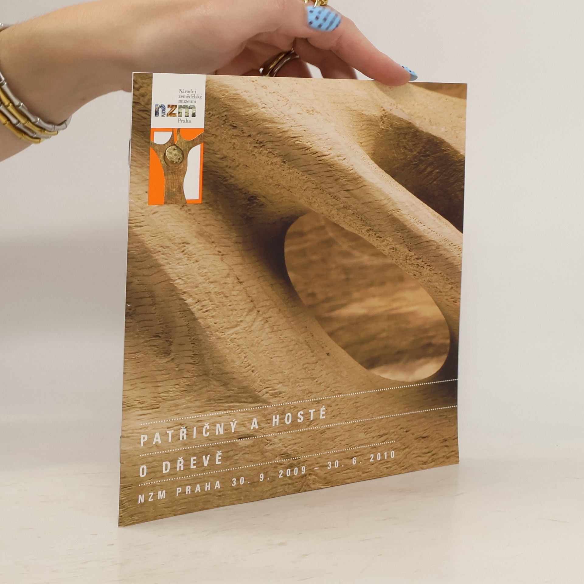 Martin Patřičný Patřičný a hosté - O dřevě