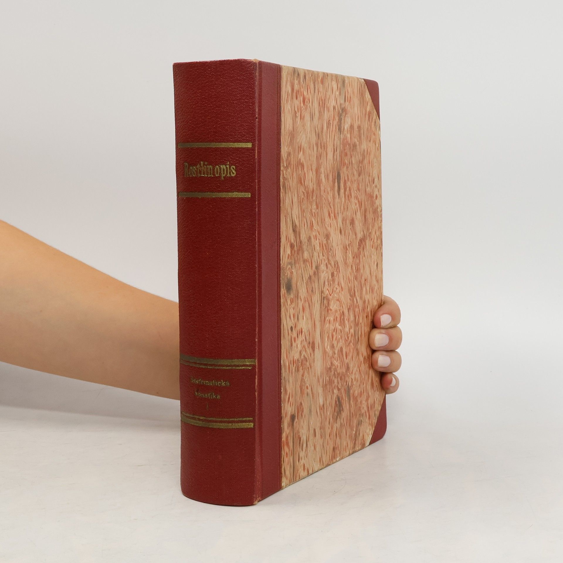 František Antonín Novák Rostlinopis. Svazek IX 2., Systematická botanika. Díl druhý